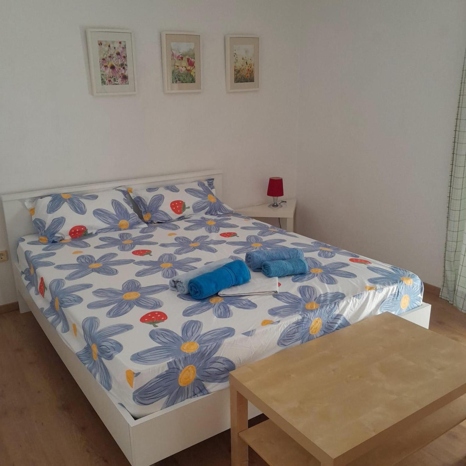 Apartment Viktoria