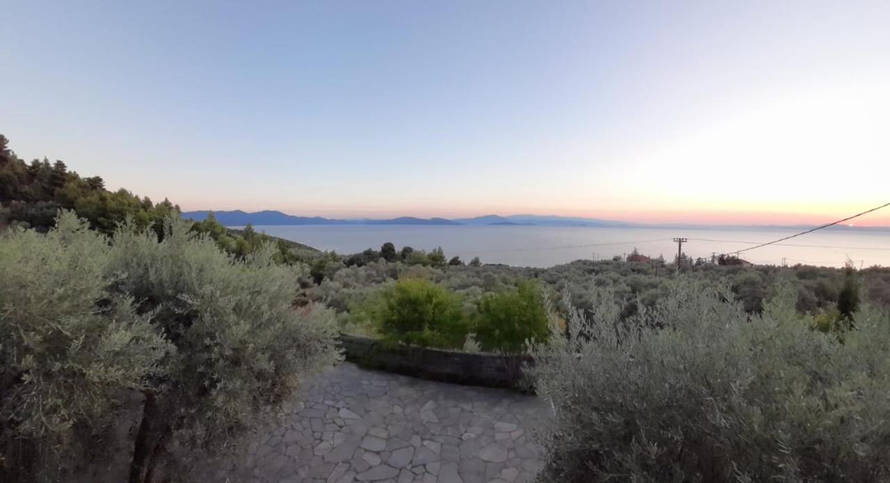 Olive Grove House view 3