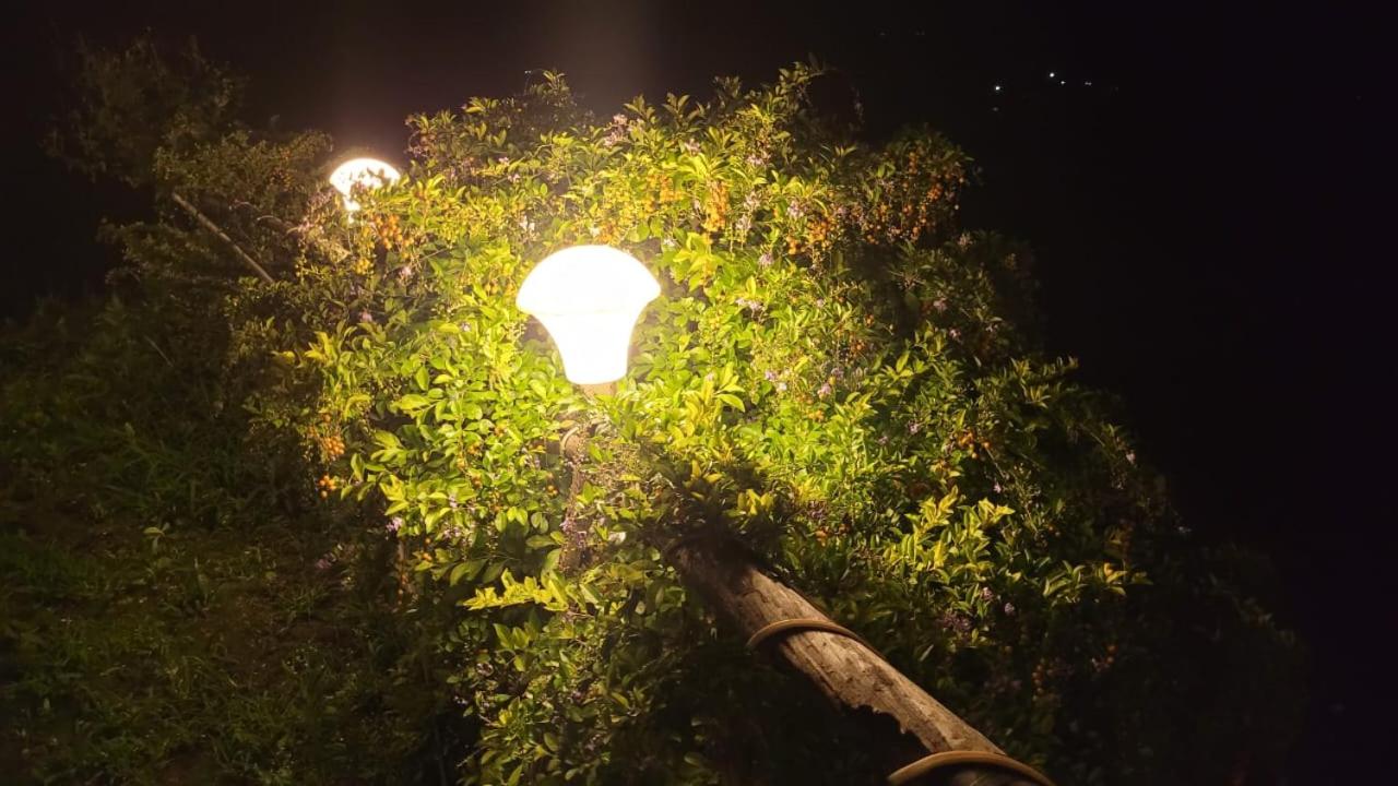 Glamp Of Dreams view 3