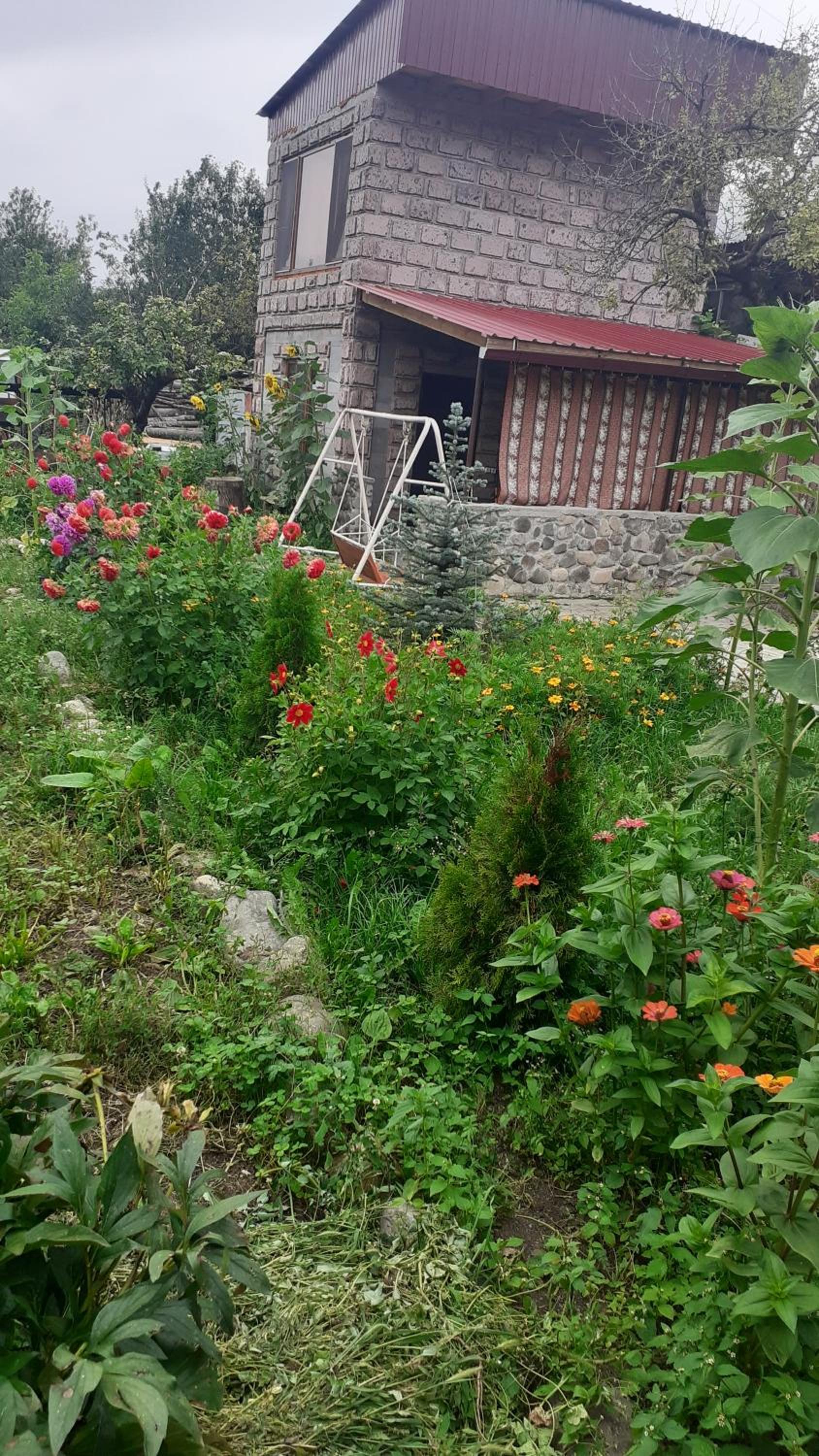 Pchak Guesthouse B&B