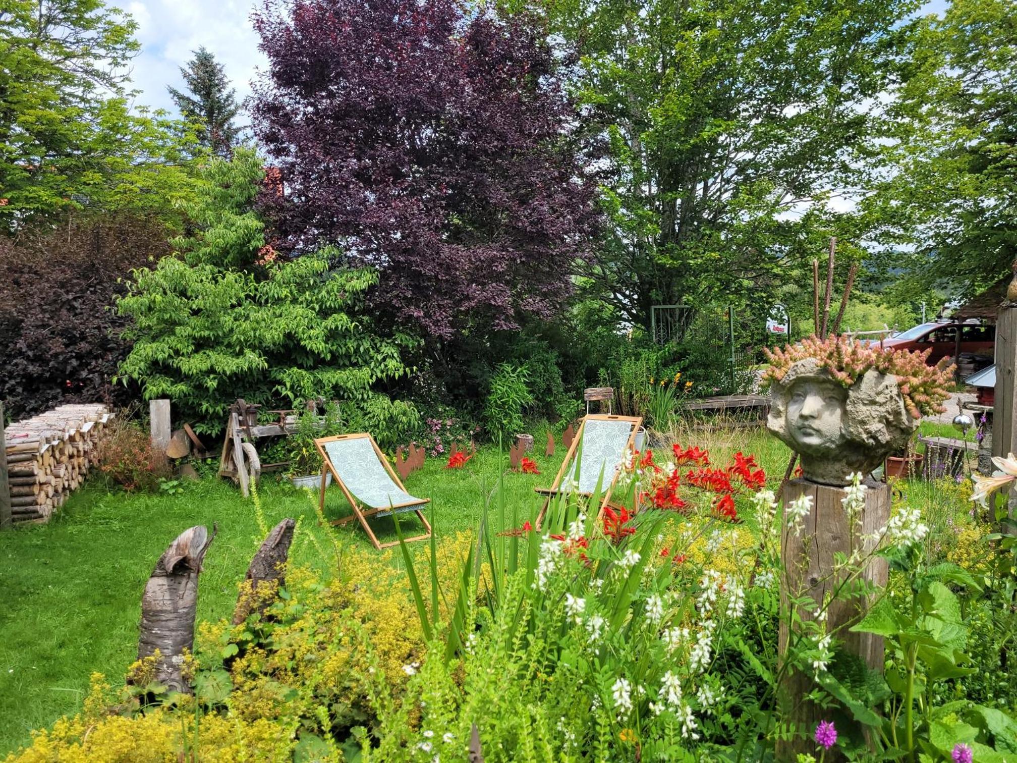 Blick In Den Garten