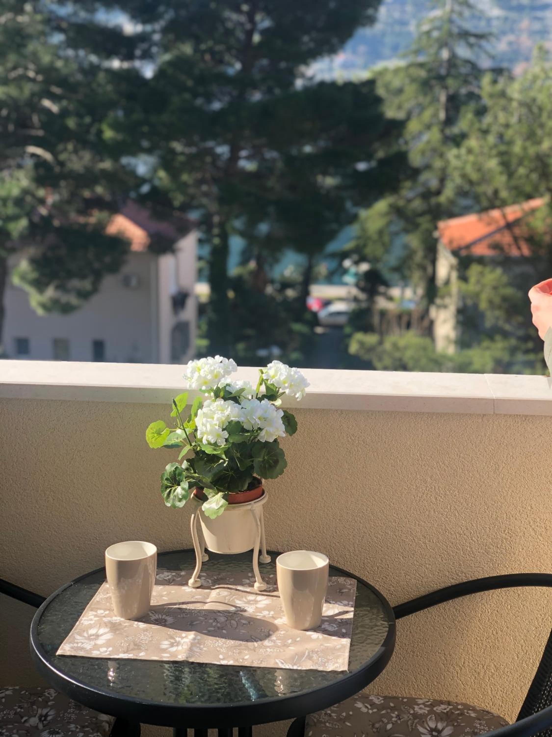 Milica Mica Apartment