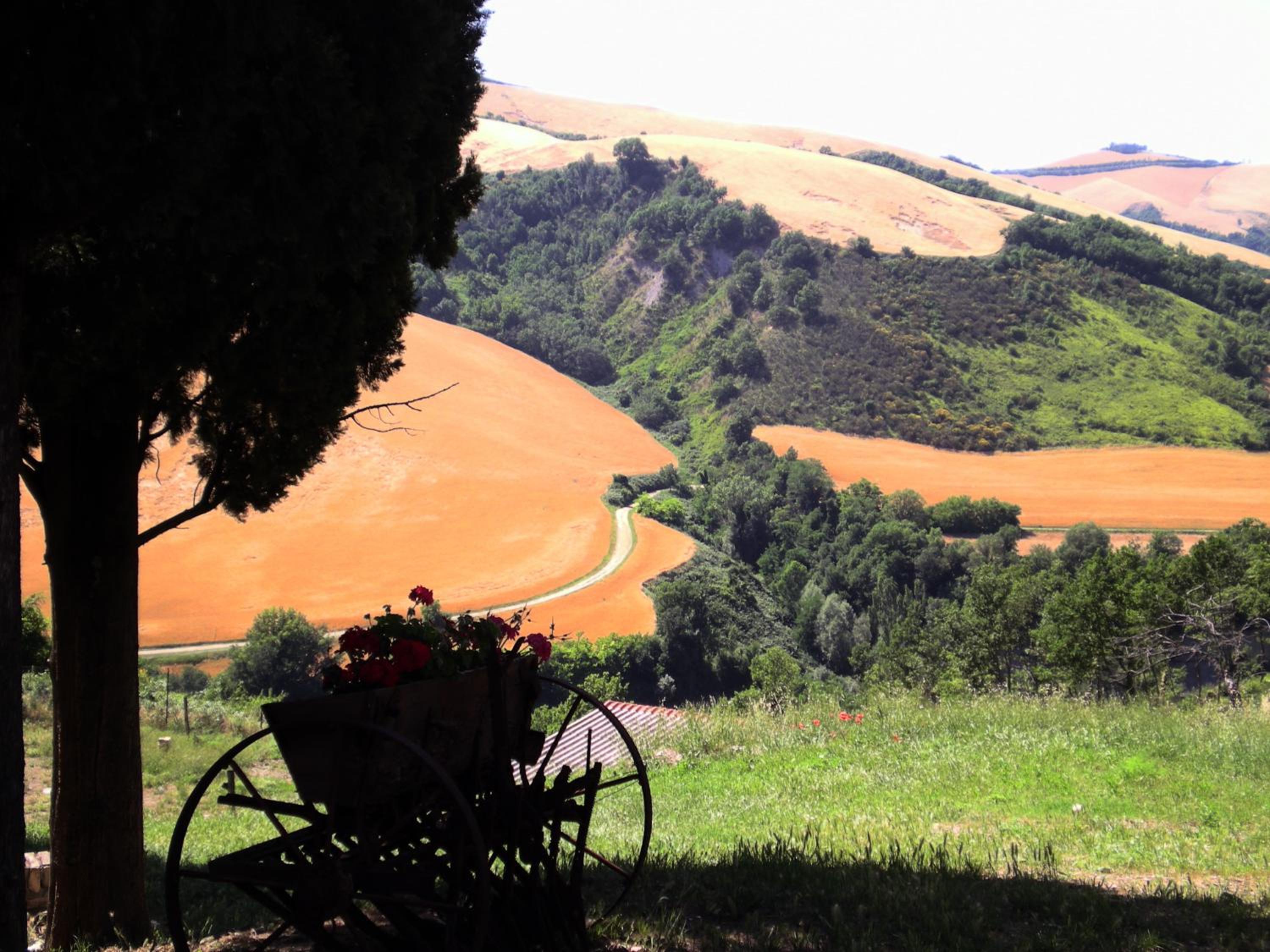 B&B Cà Giovanni Country Resort Pet Friendly
