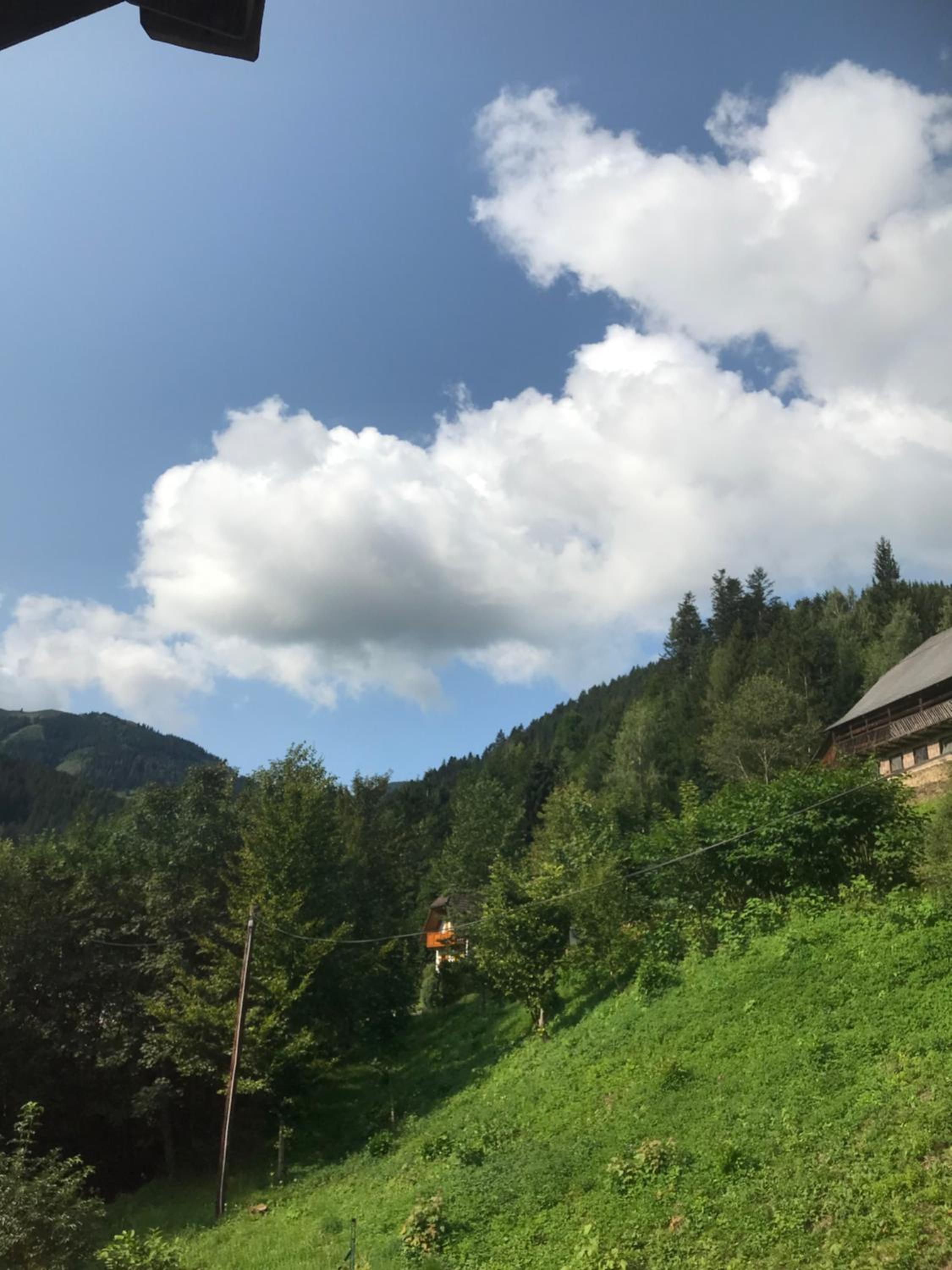 Haus Almblick
