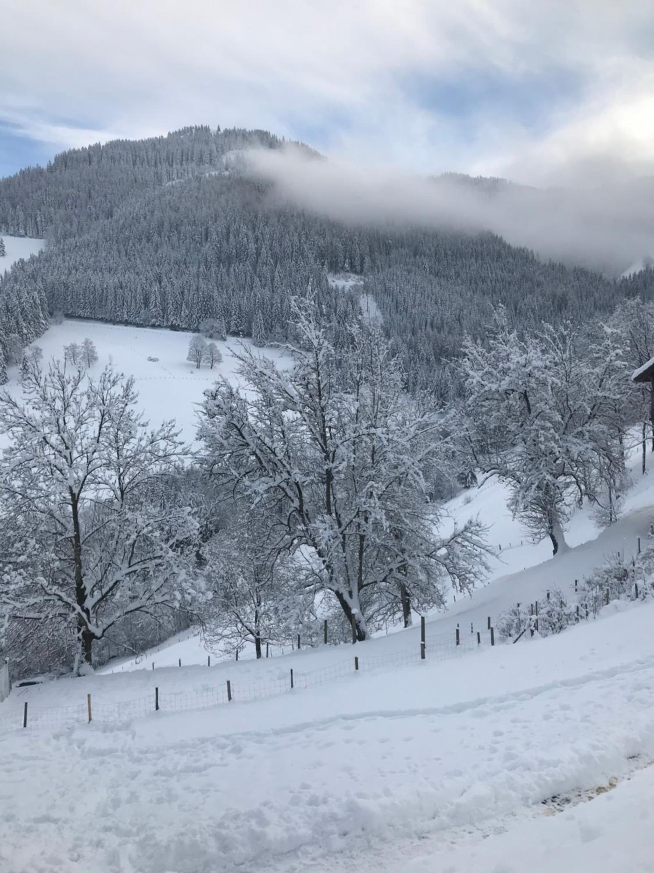 Haus Almblick