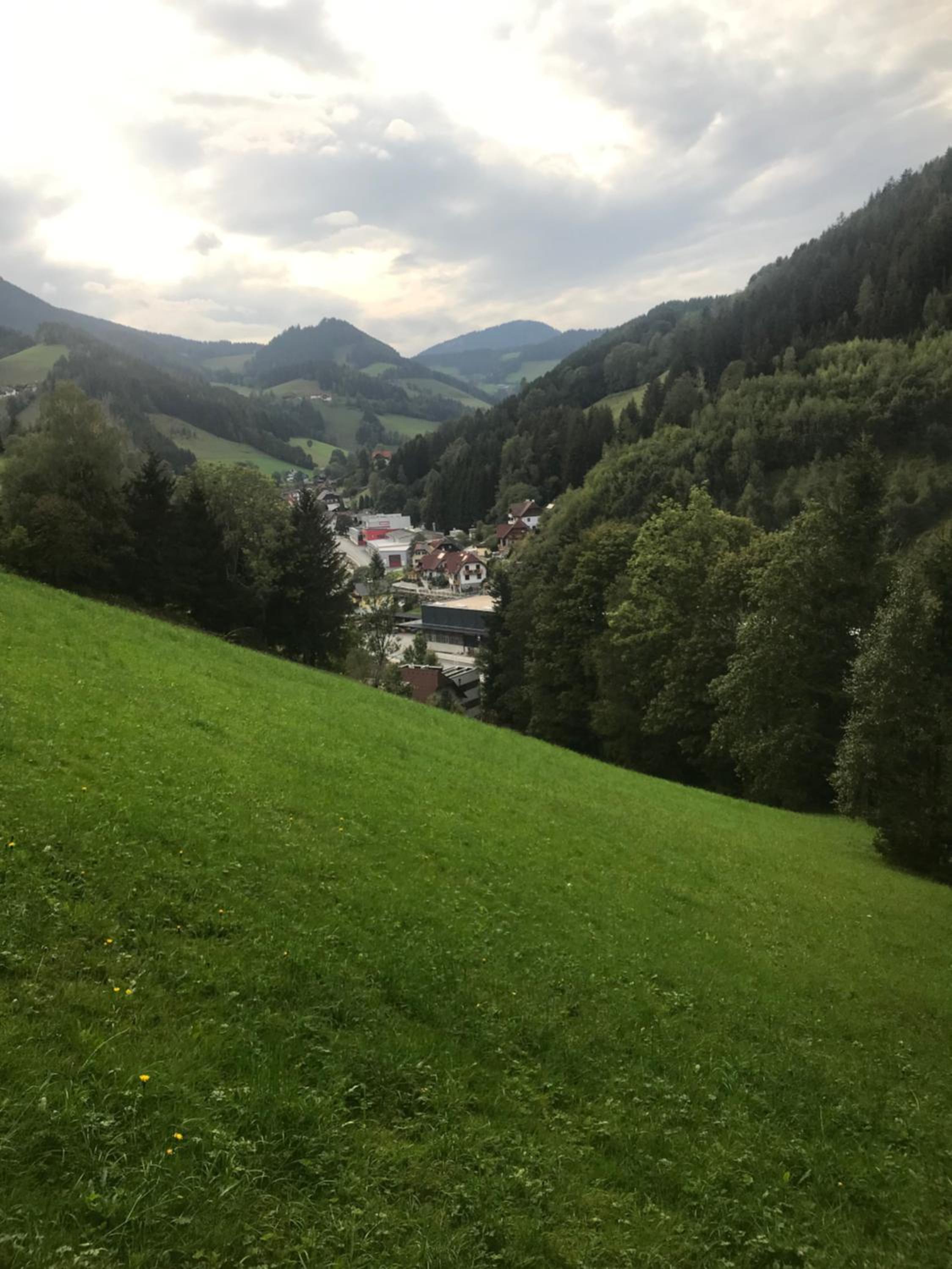 Haus Almblick