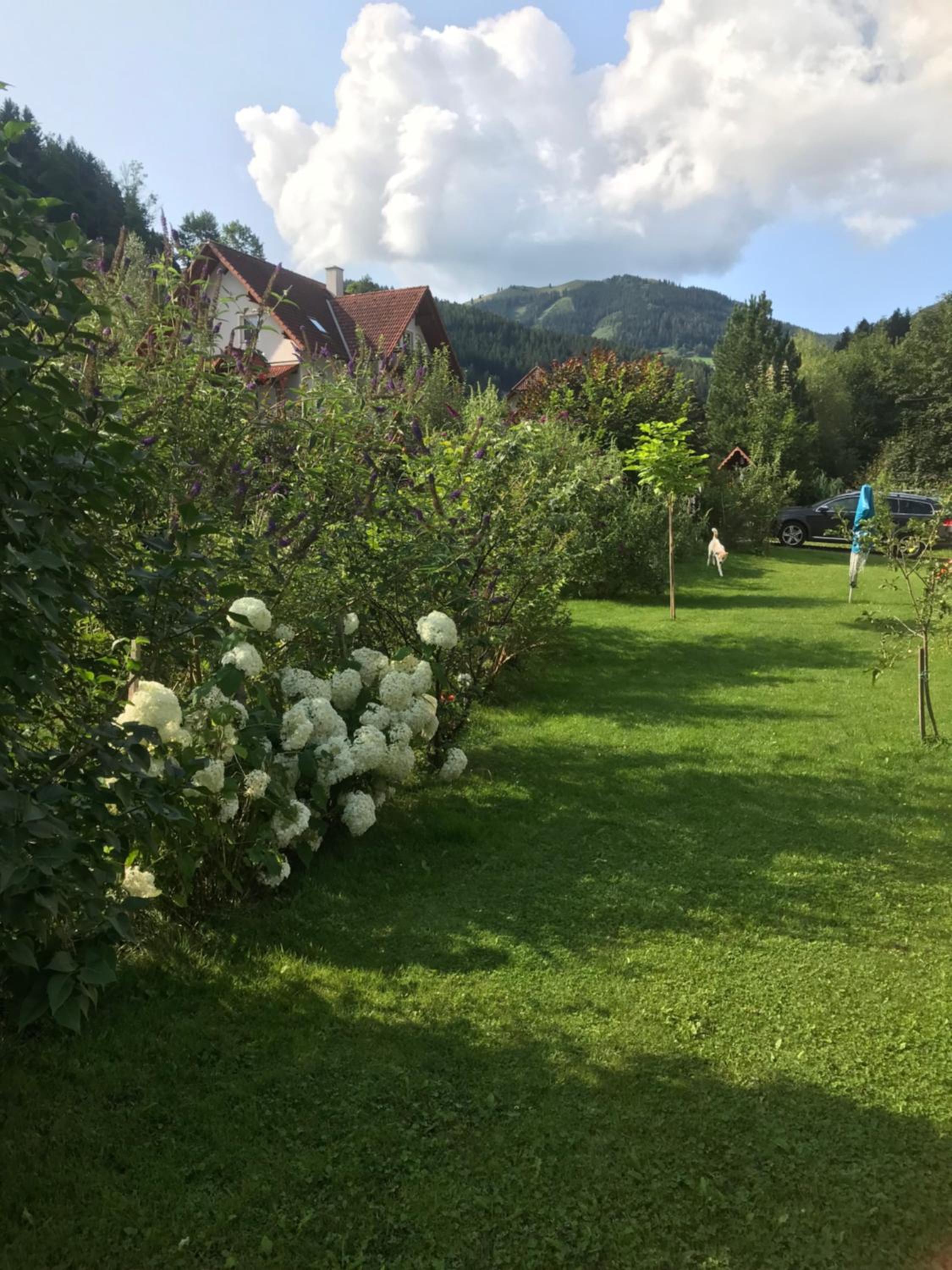 Haus Almblick