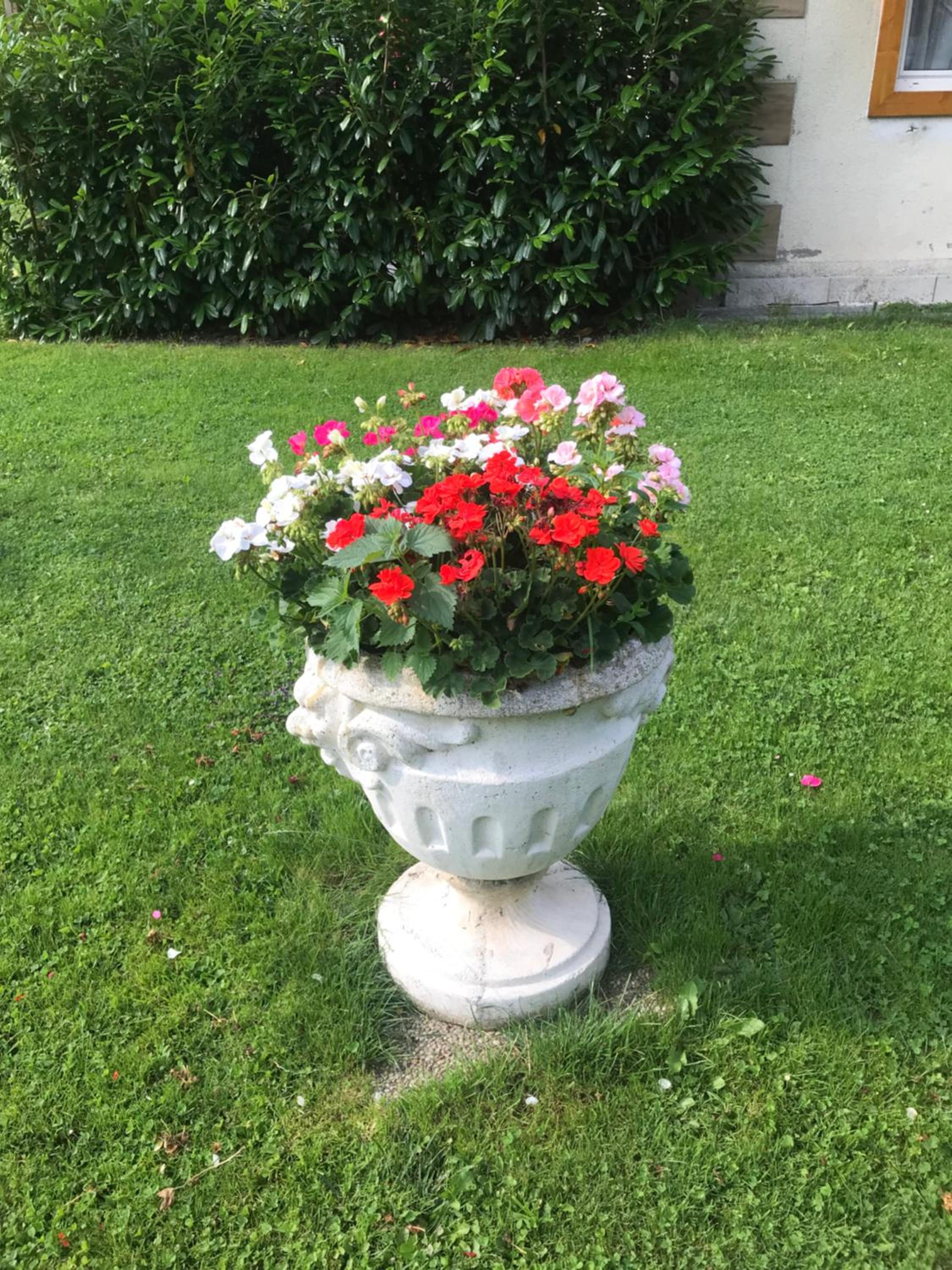 Haus Almblick