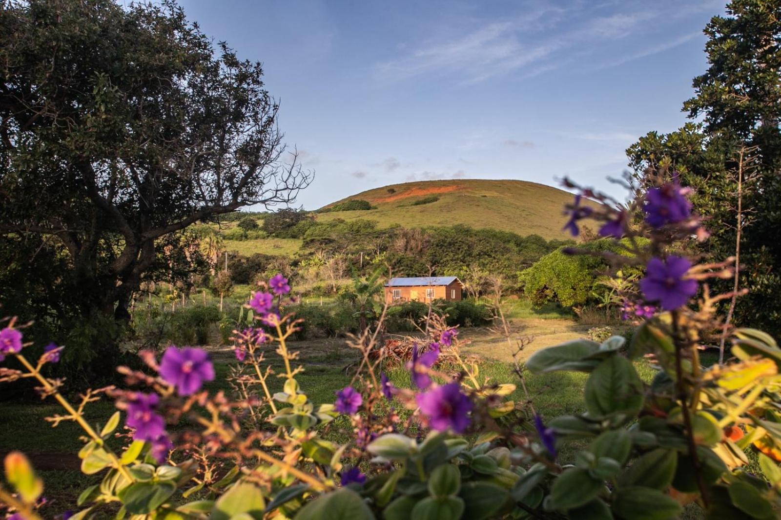 Cabaña Koromaki Rapanui