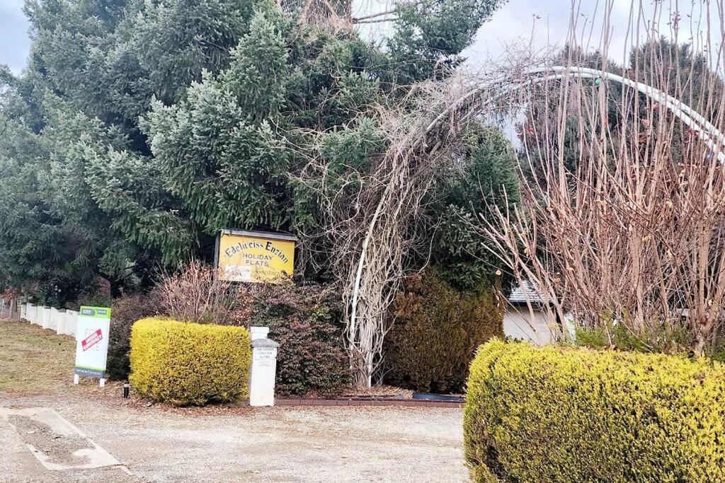 Hotel 2BDR Holiday Flat near Bright-Entire Place - Image 1