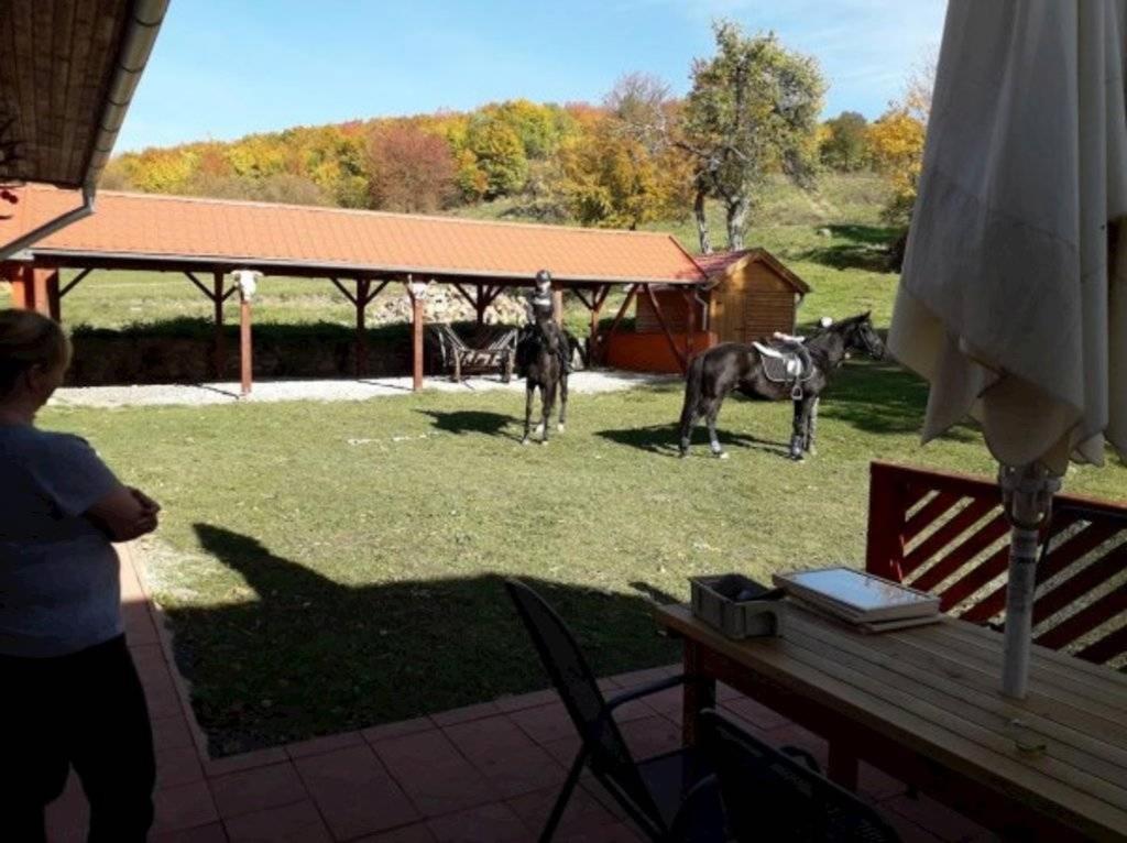 Forgáčova horáreň