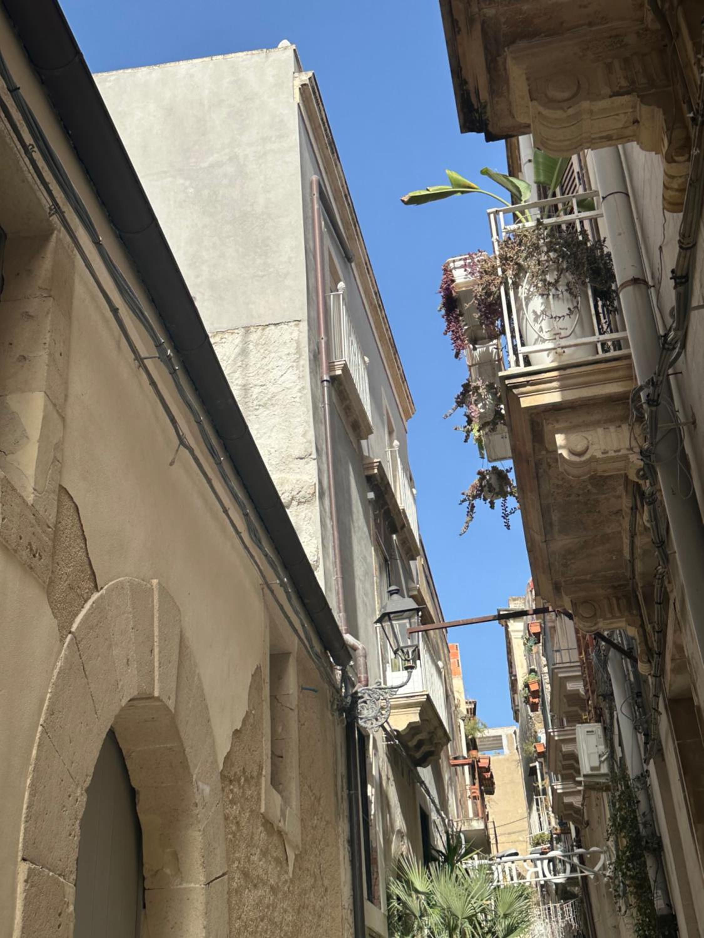 Il sogno di Pierre photo 1