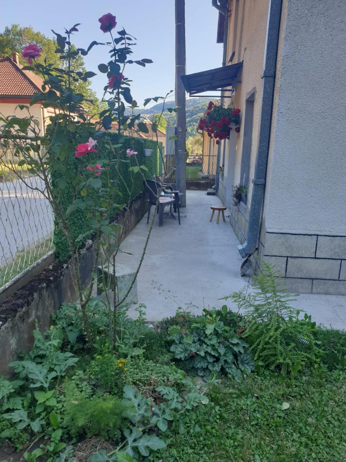 Apartman Rajac