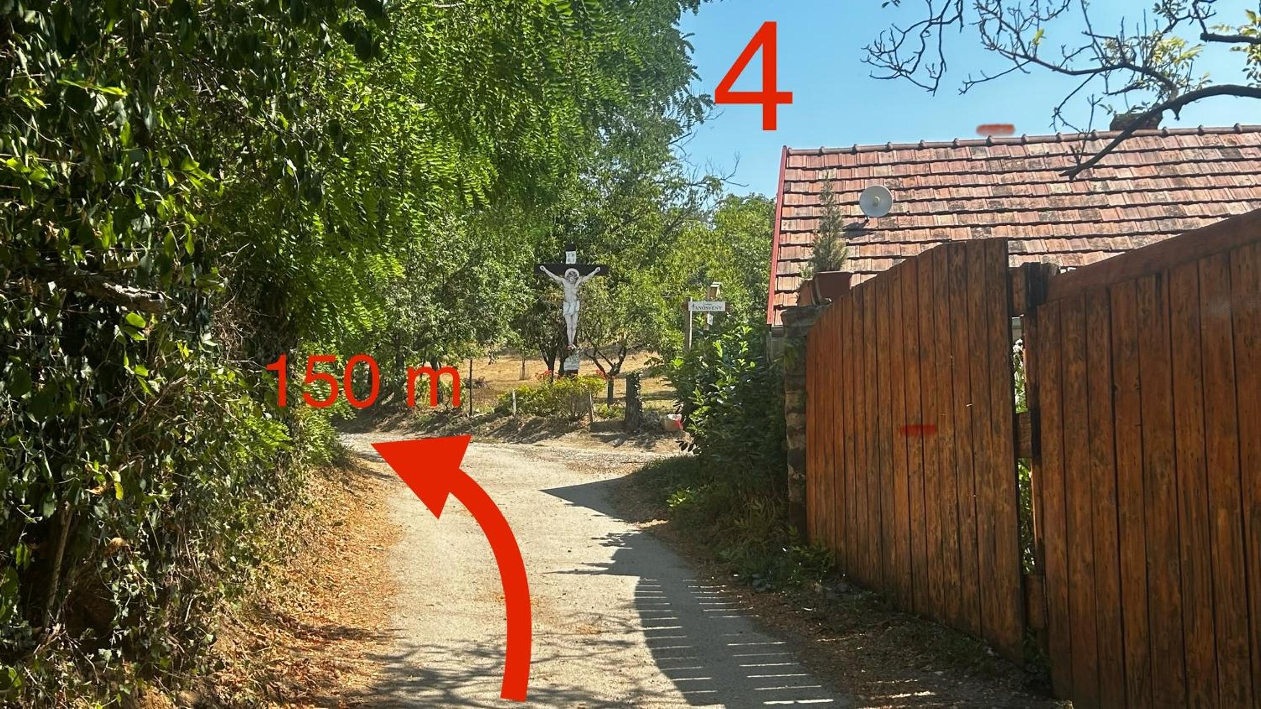 Photo 49