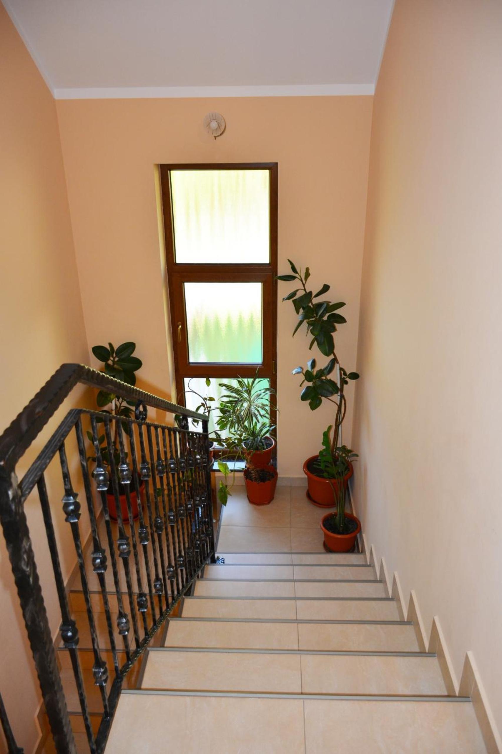 Casa La Marin Borșa