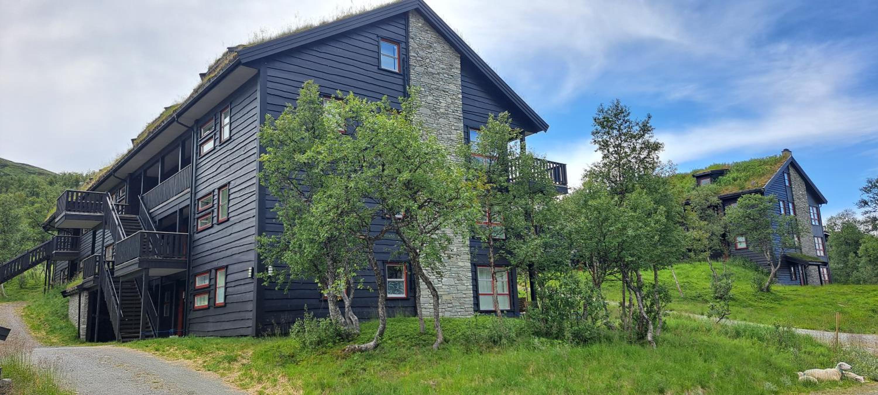 Børrenøset rett ut i naturen view 5