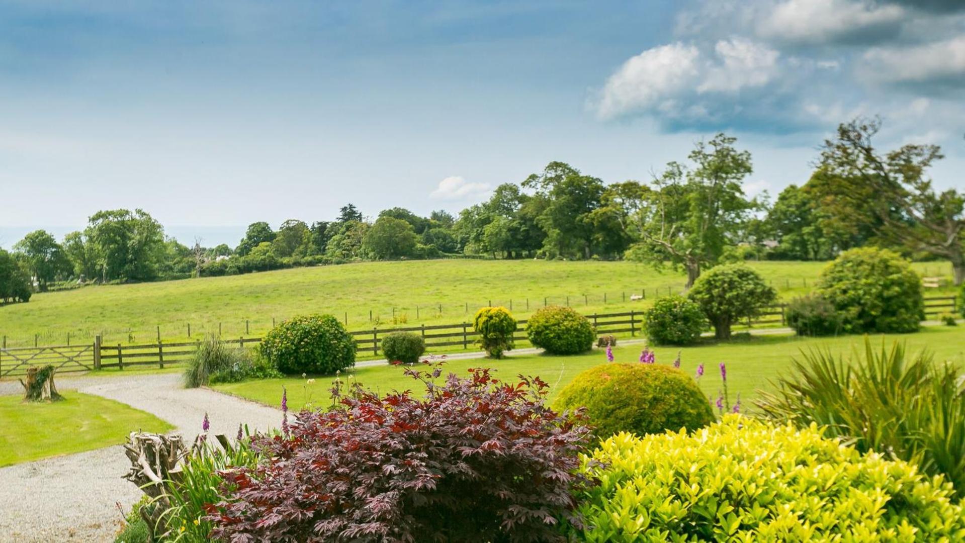 Mynydd Ednyfed