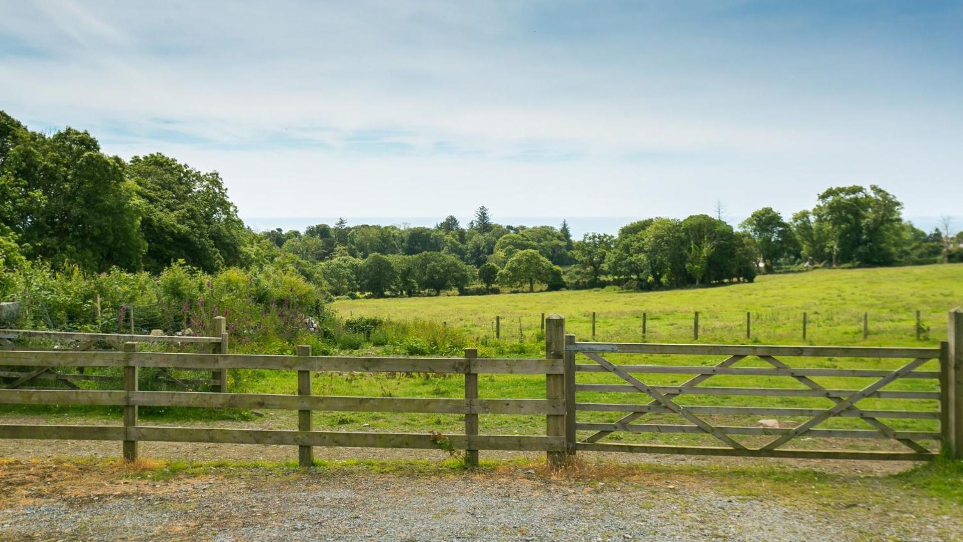 Mynydd Ednyfed