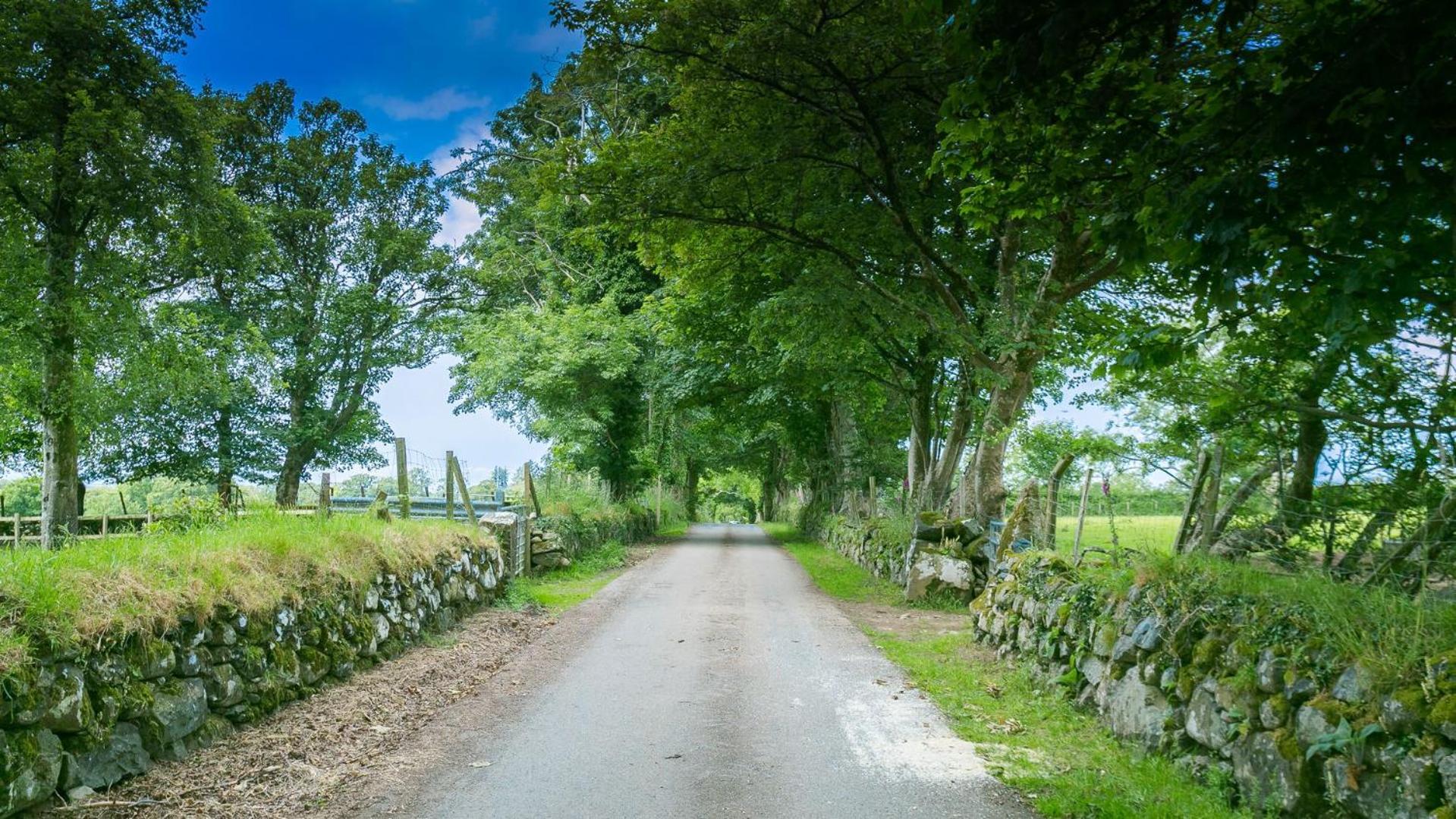 Mynydd Ednyfed