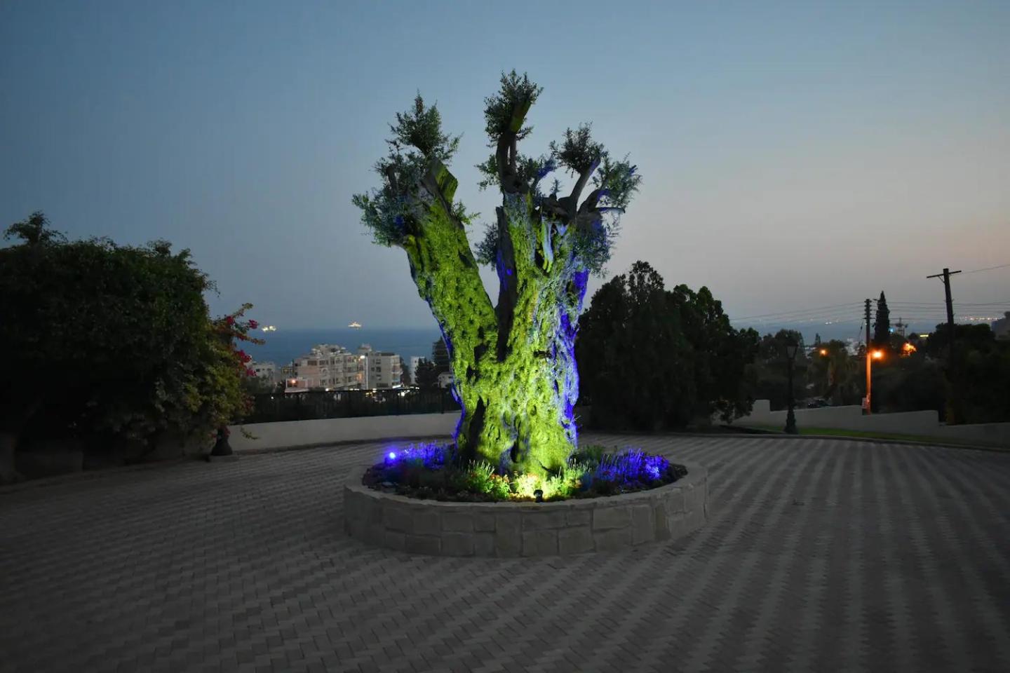Limassol Vacations - Olive Tree Apartments - Property Image 1