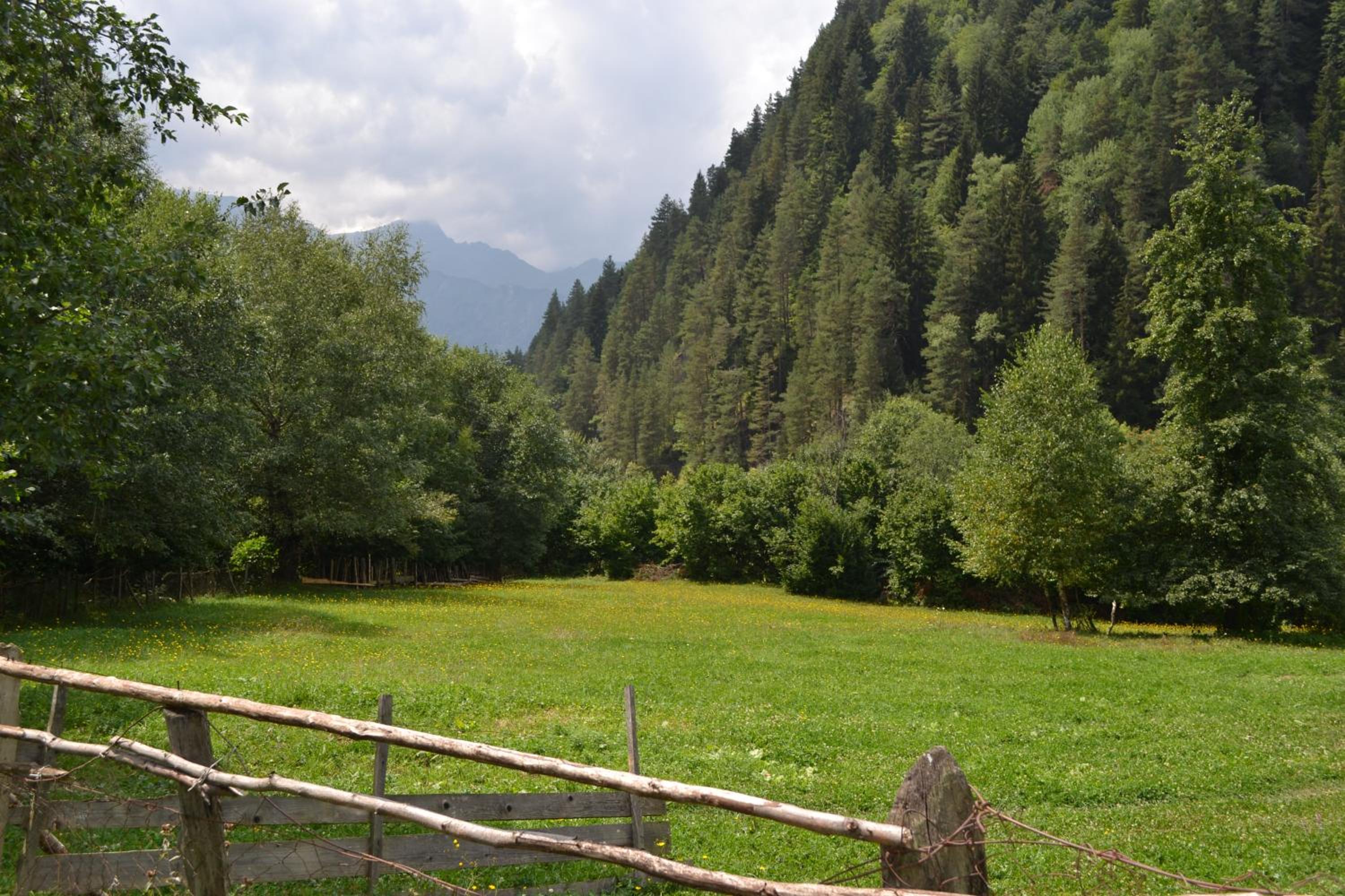 Dariani Cottage