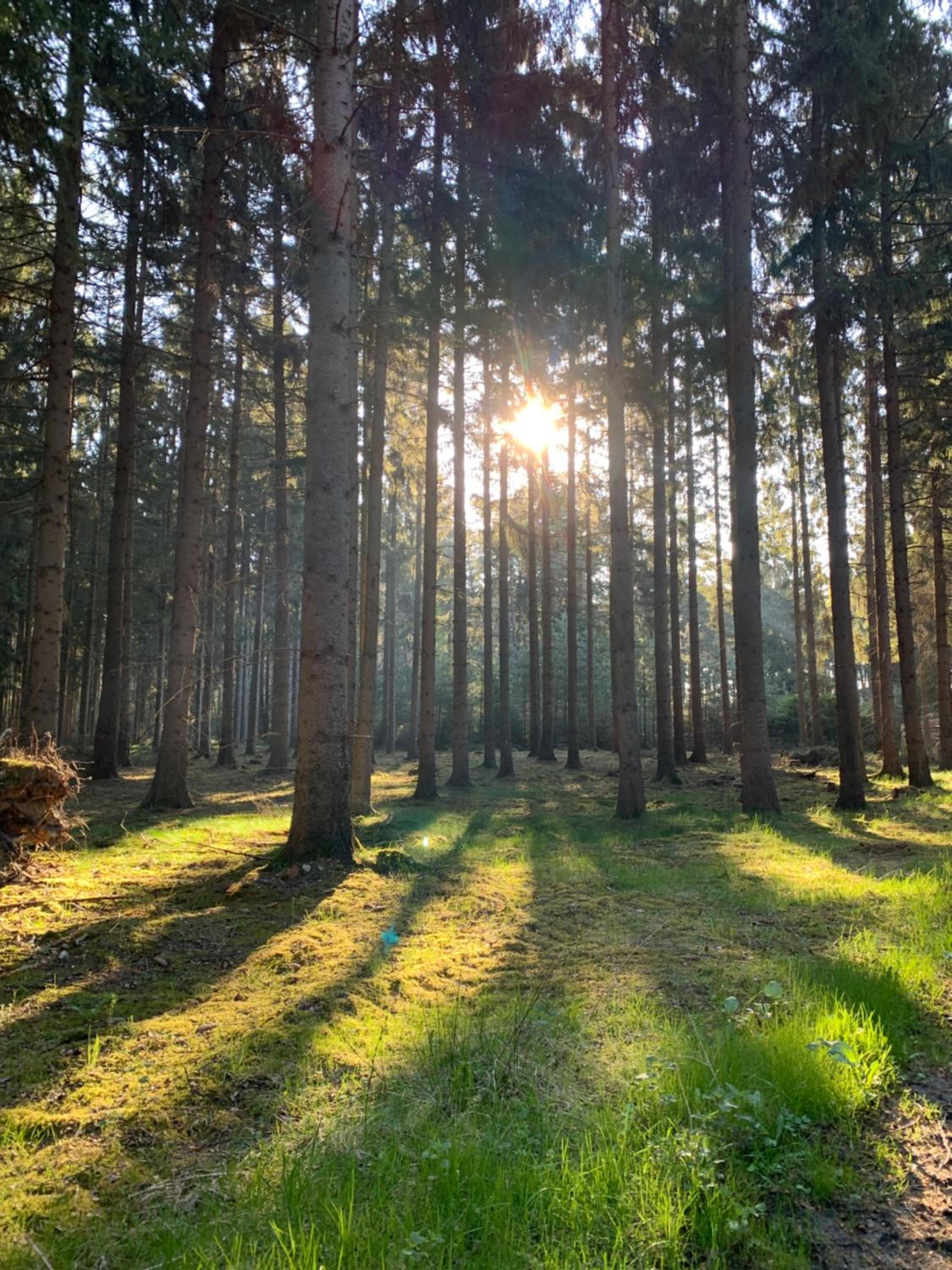 Heide-Huus Landliebe