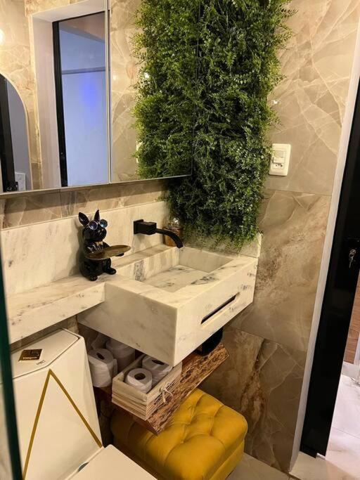 Apartamento Lapa Riachuelo 220
