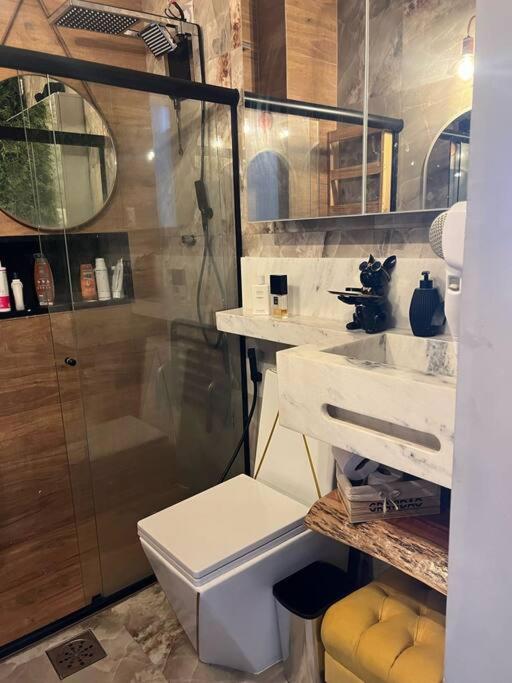 Apartamento Lapa Riachuelo 220