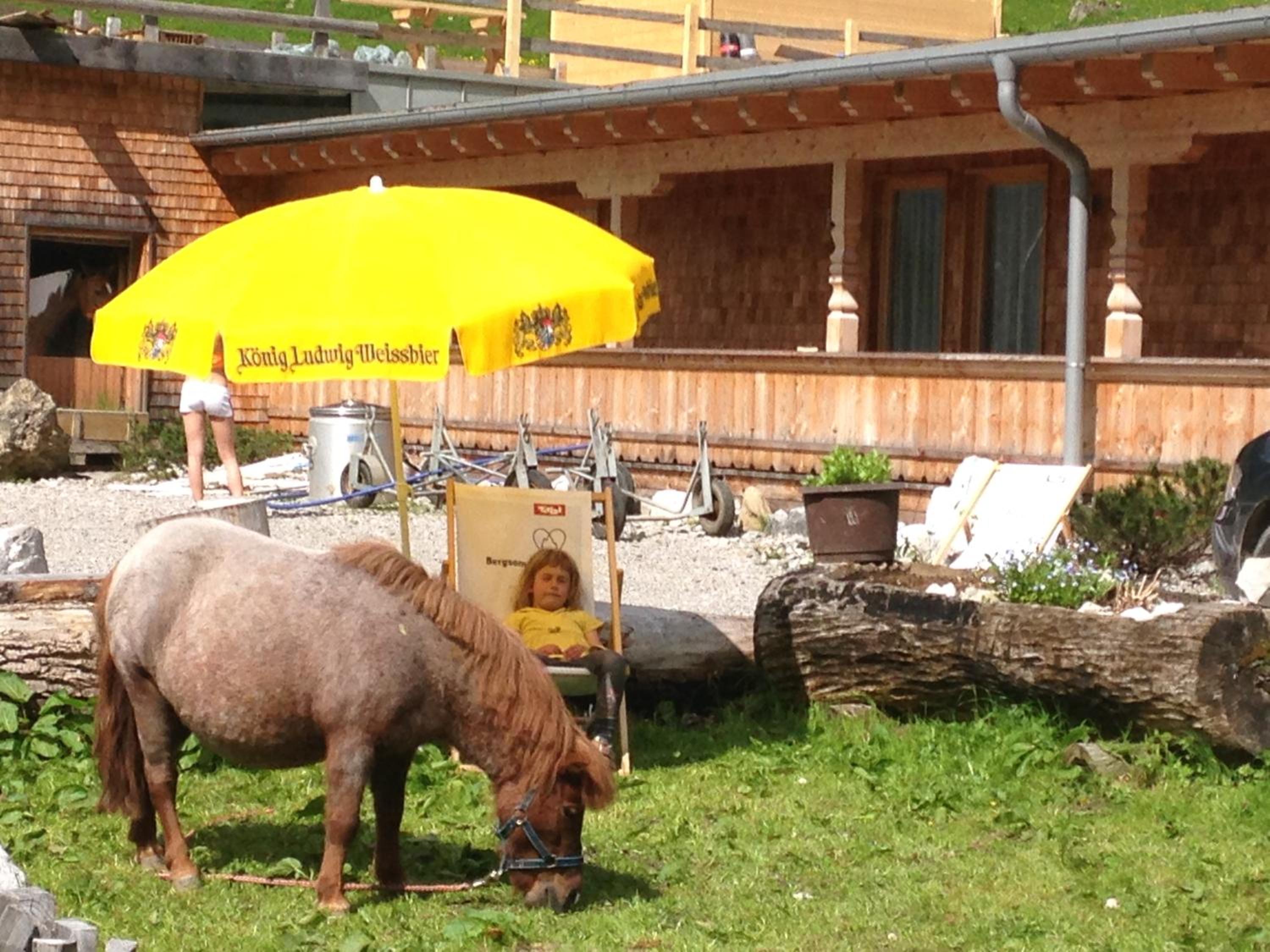 Binsalm- Schutzhütte