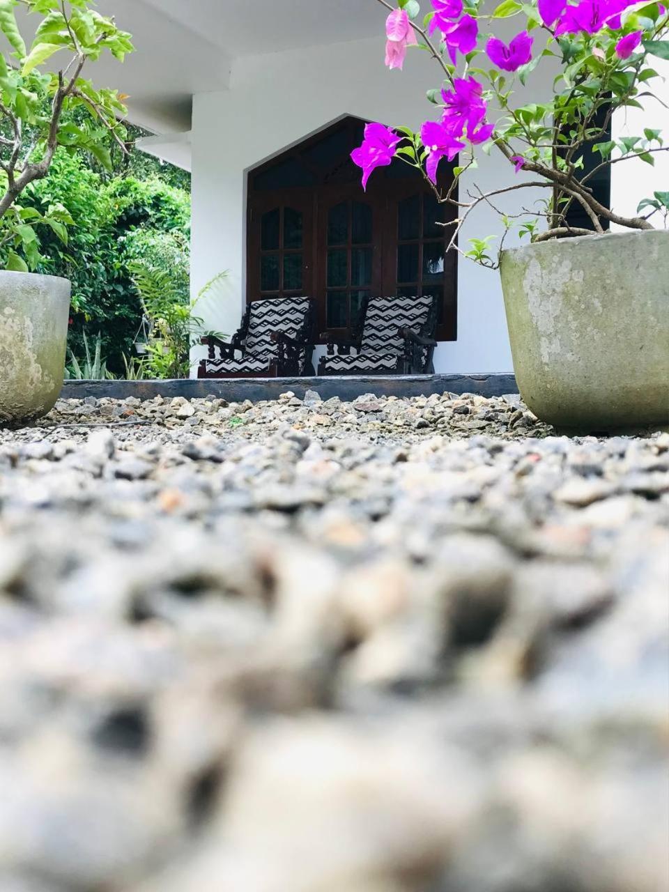Villa serene view 4