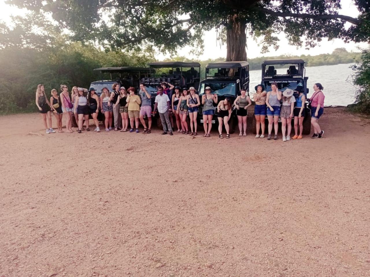 Elephant Safari Lodge
