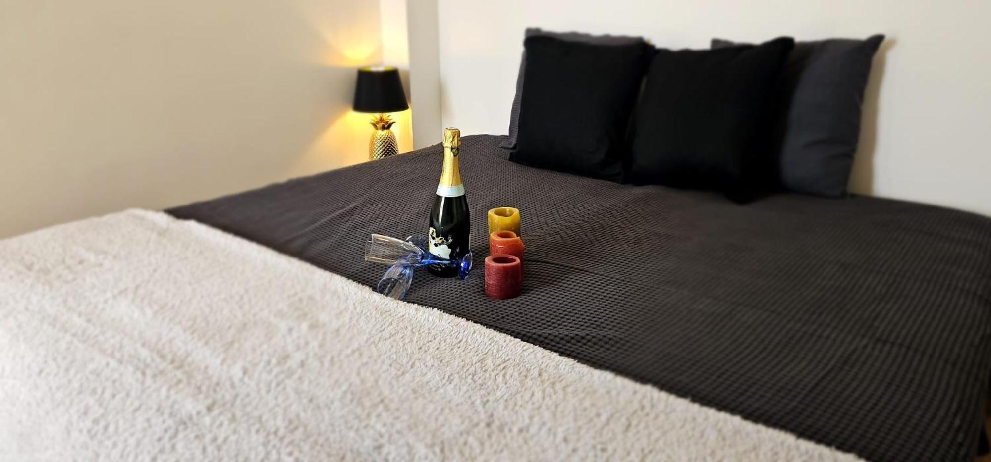 Cannes Beach Access, Private Room in Shared 3-Bedroom Apartment, Private Bathroom, Living Room with Sea View Suite Parentale salle de bain privée accès pla