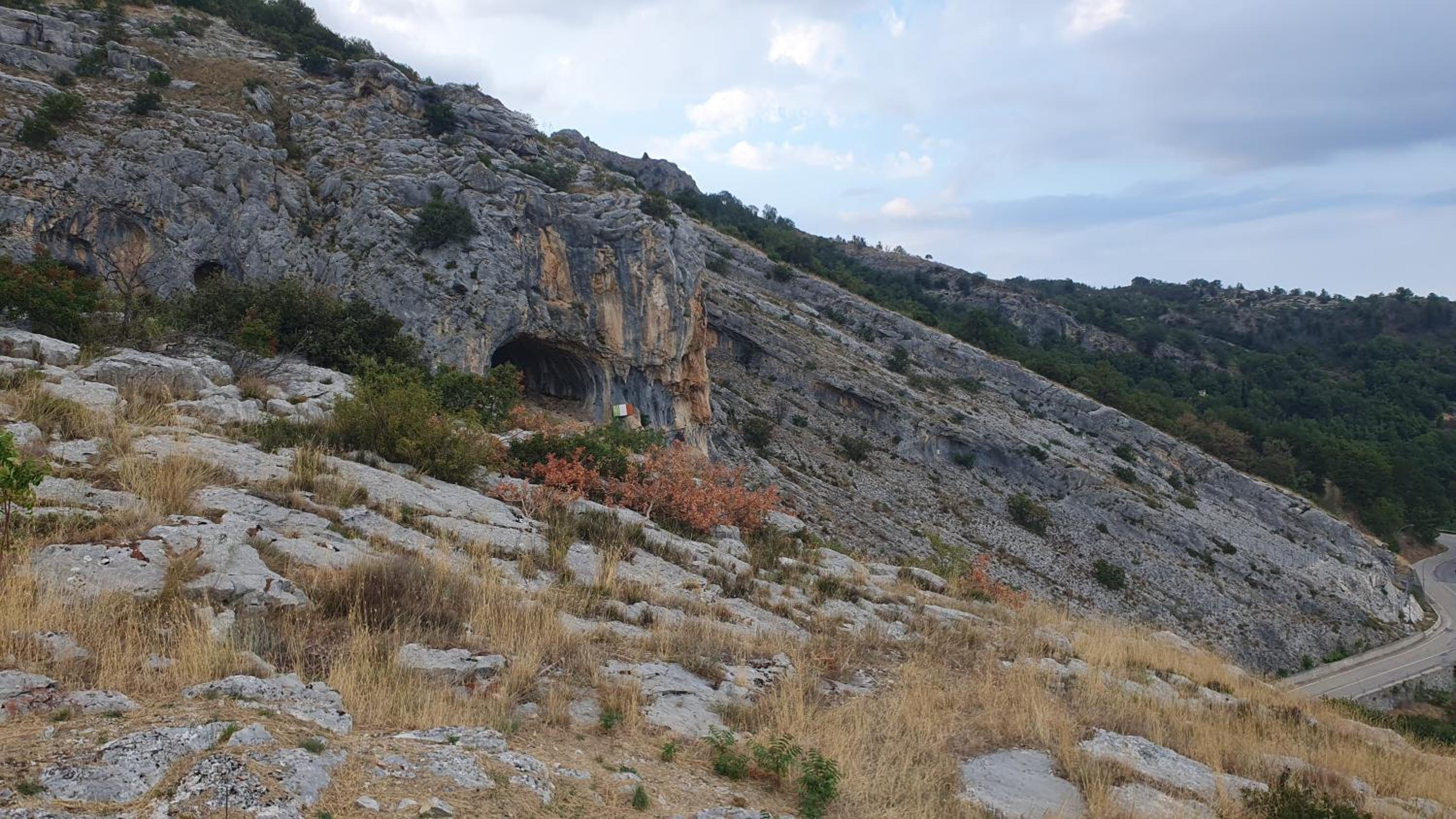 Photo 22