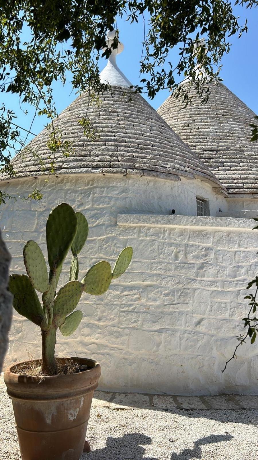 Trulli Biancopumo - private pool