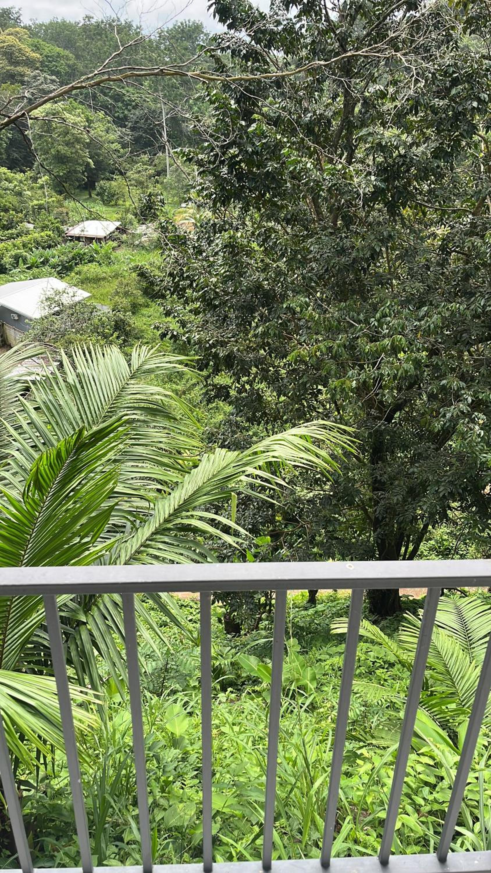 Uvita Private House