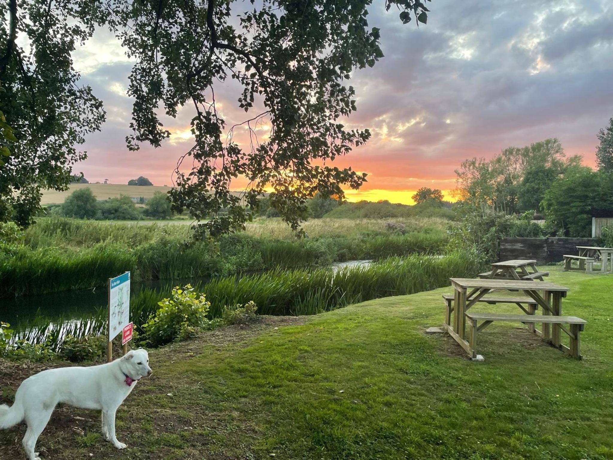 The Bell Inn view 5