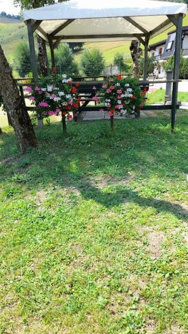 Photo 34