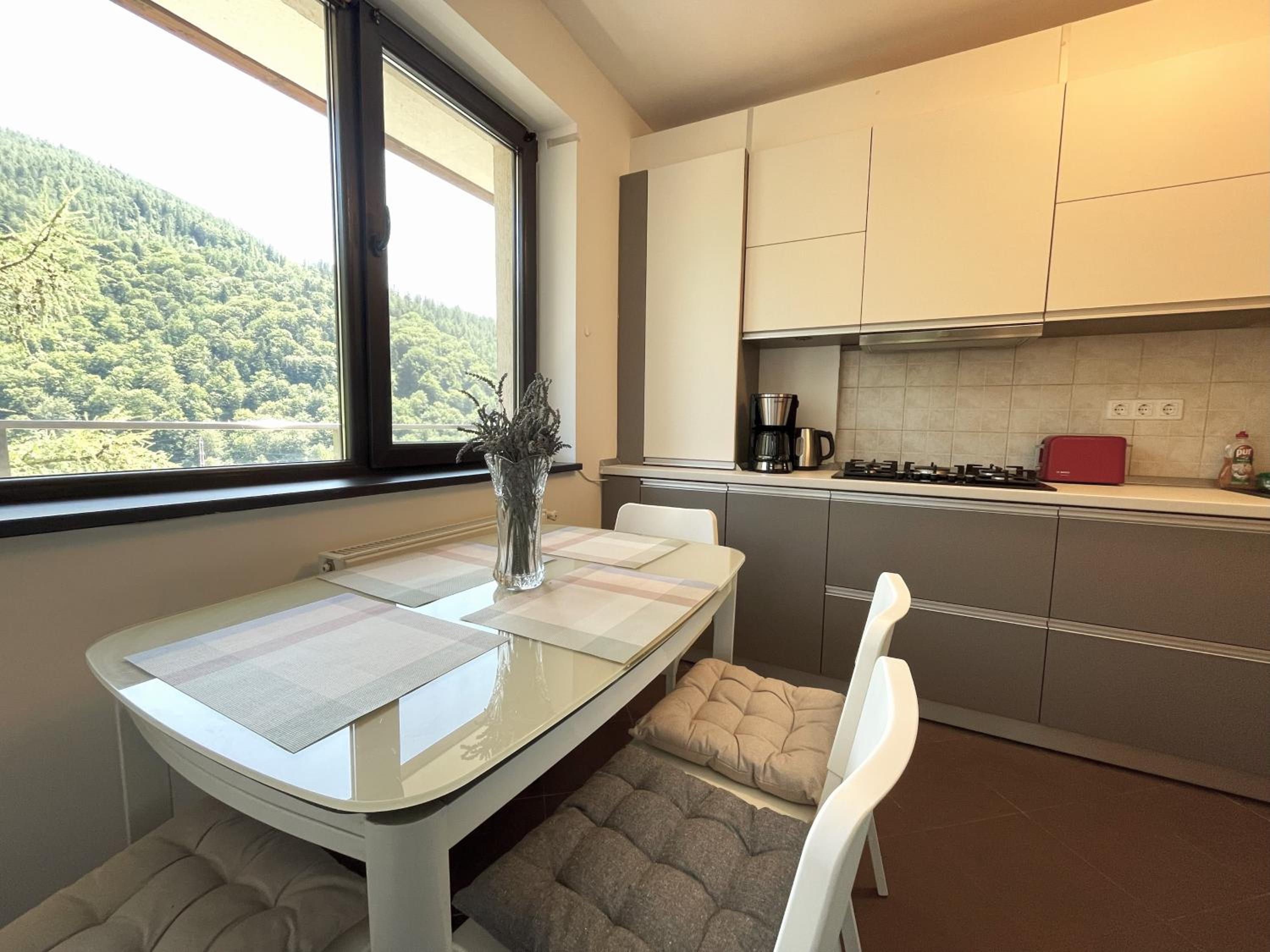 4Seasons Panorama Apartment view 4