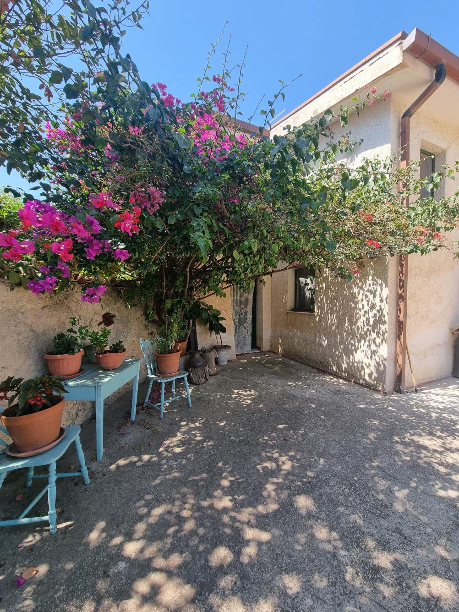 La BouganVille