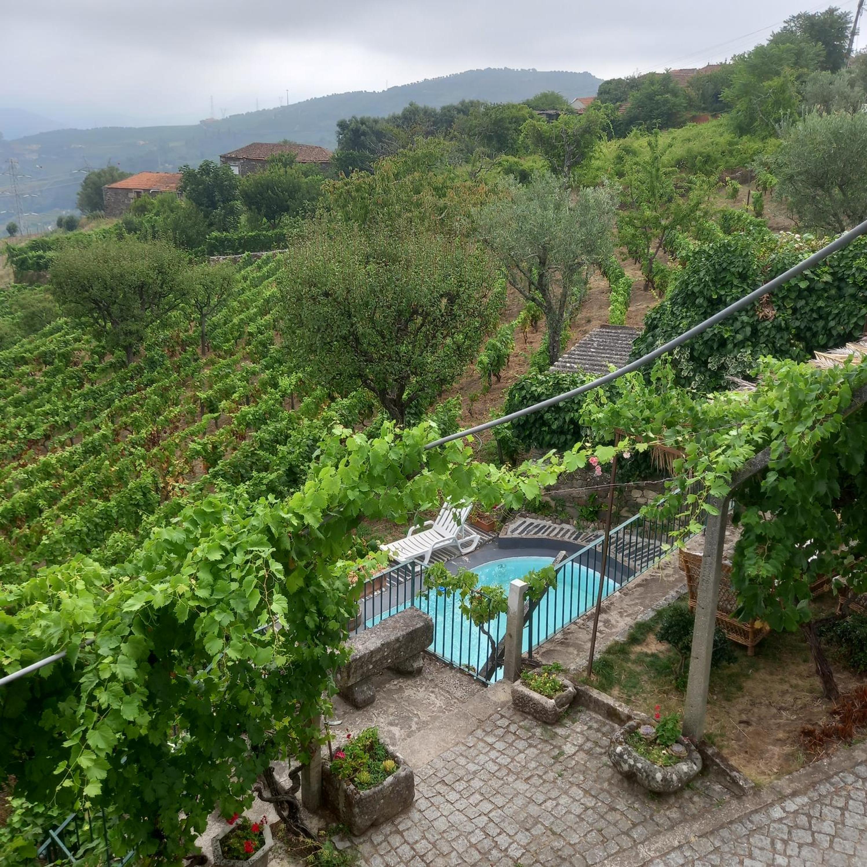Quinta Casa Do Quintal view 2