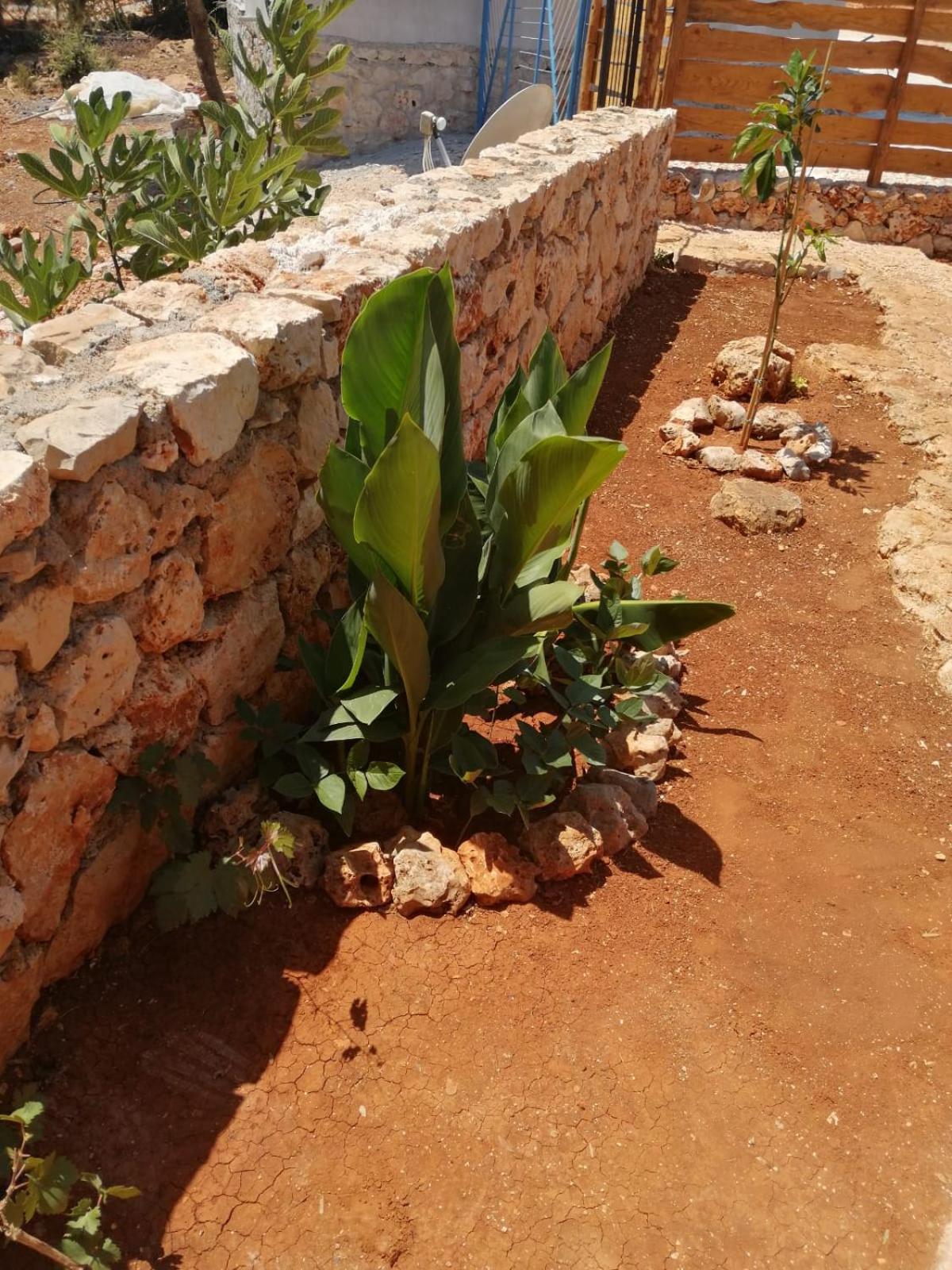 Galaba Apart Ezel oda
