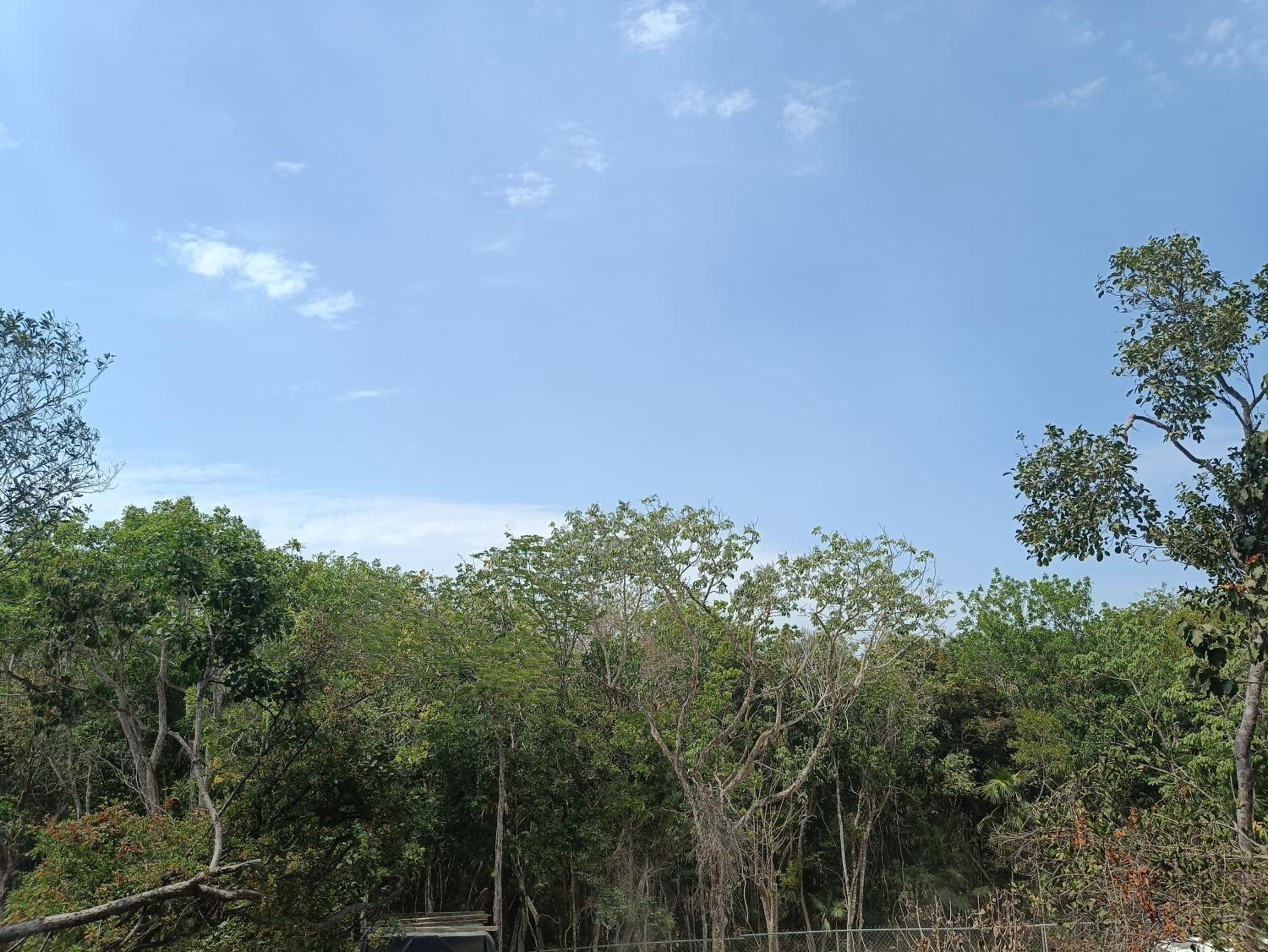 Photo 29