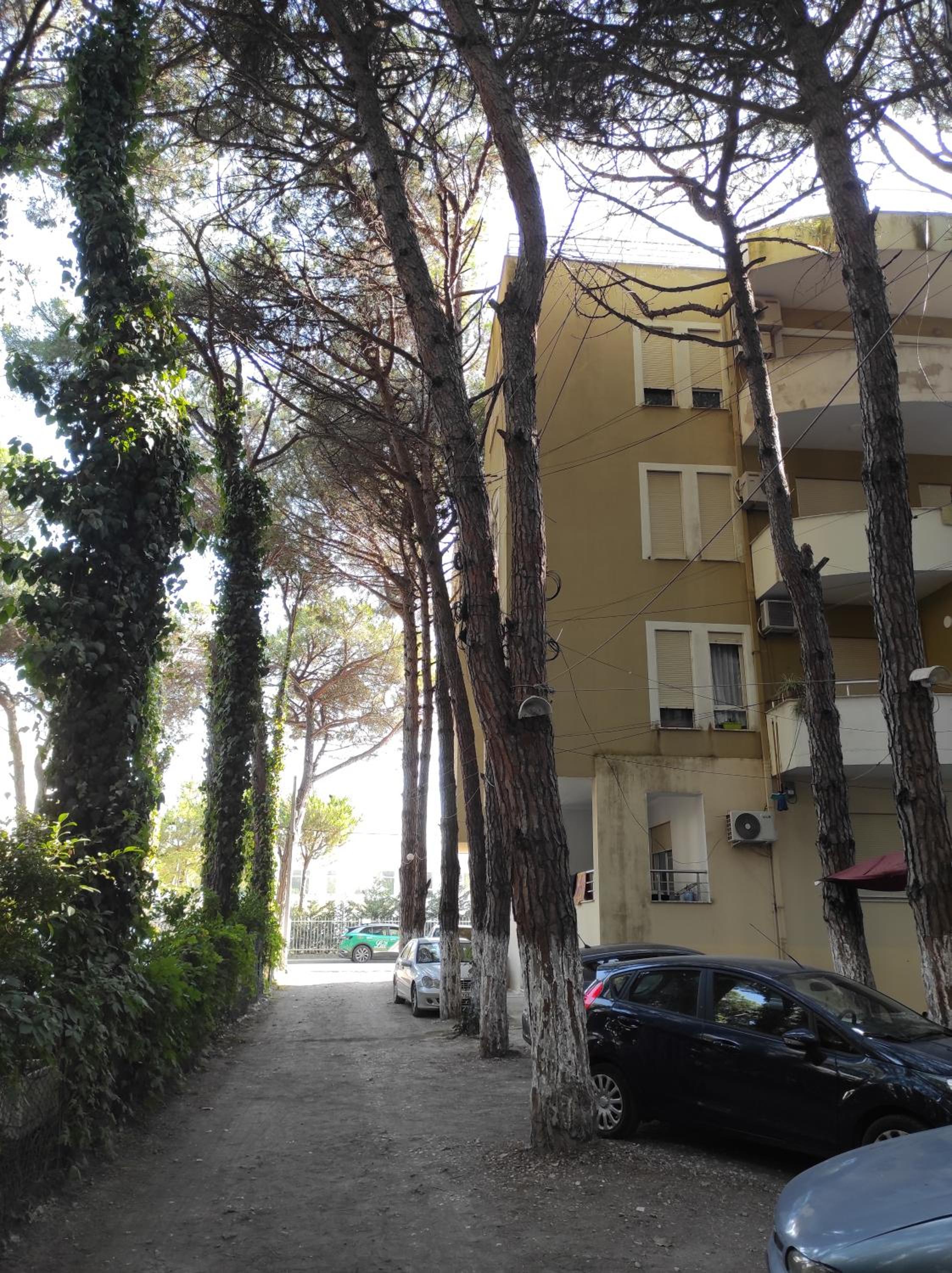 The Blue Apartment