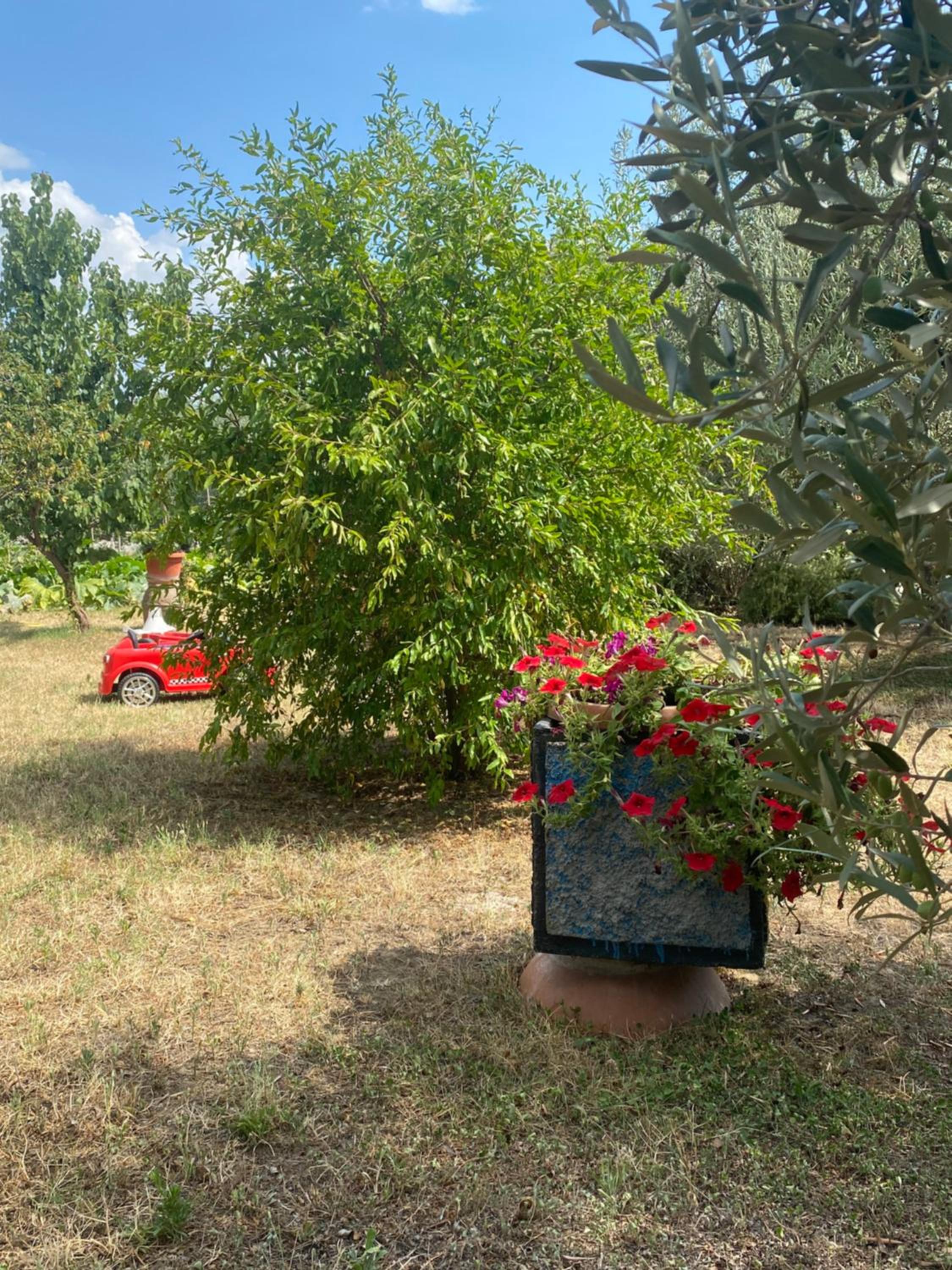 Casa vacanze Coke view 4