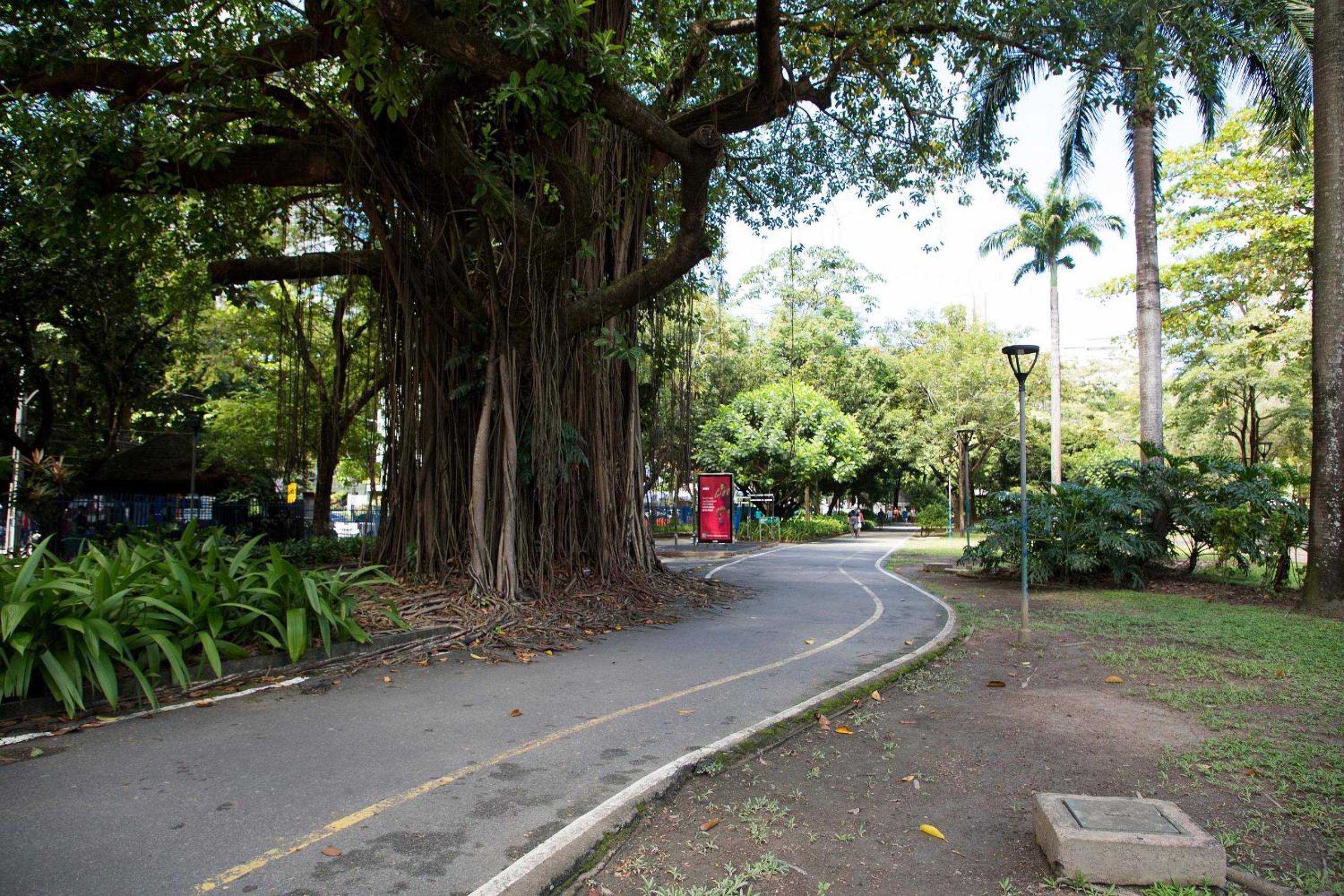 Spectacular Location - North Zone - Sem Taxas