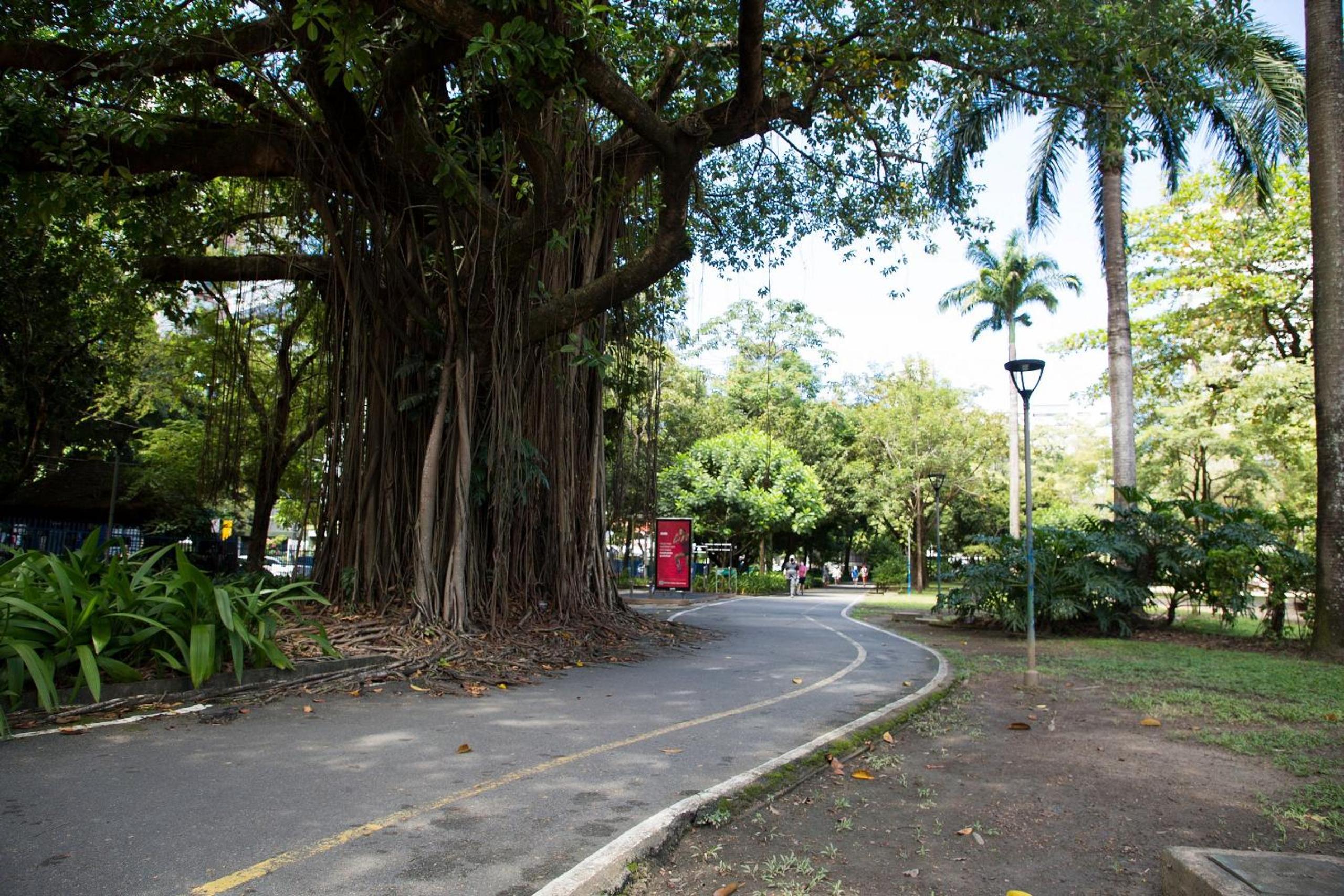 Spectacular Location - North Zone - Sem Taxas