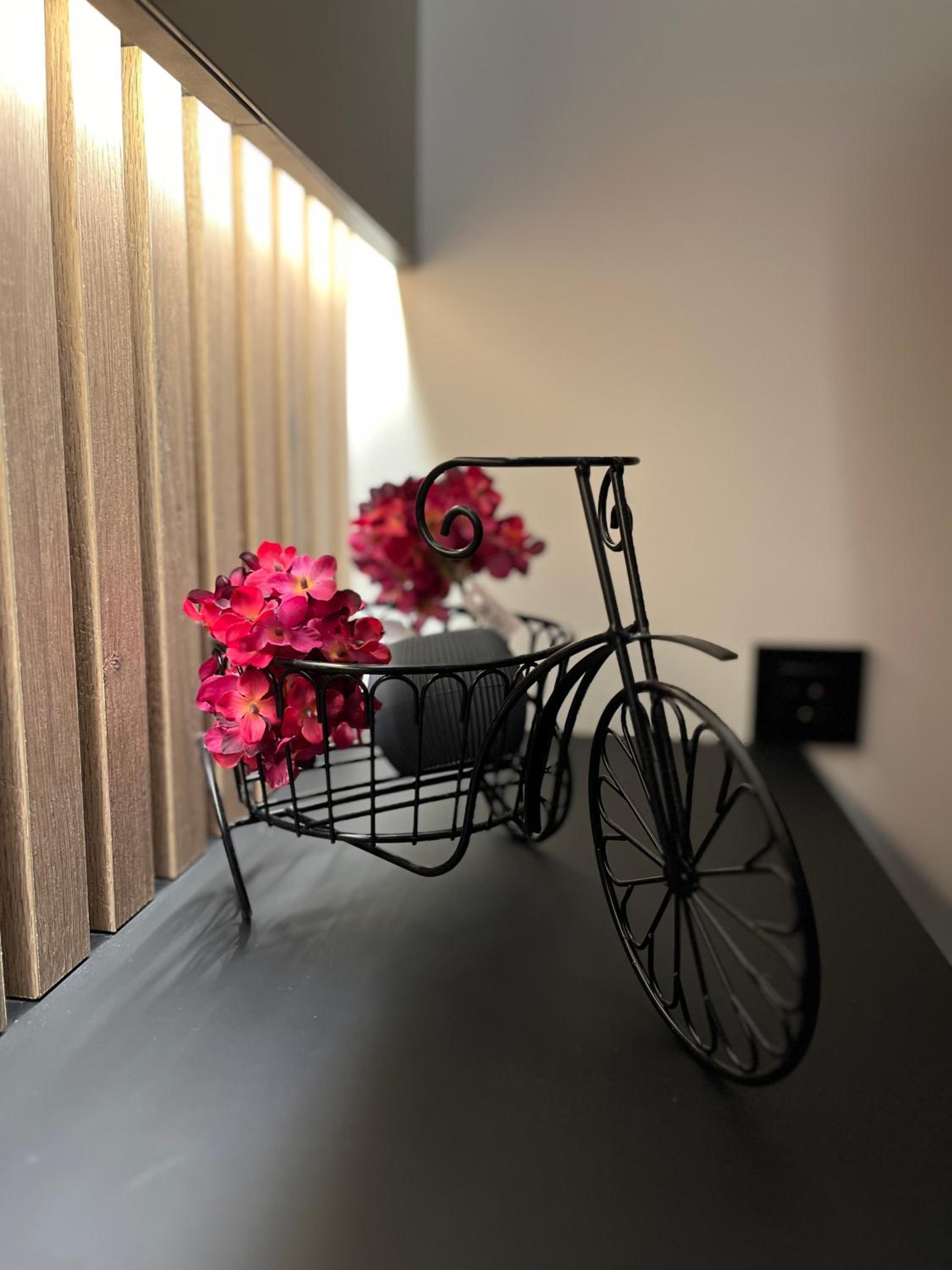 Apartments AMALFI Old Town FREE Parking