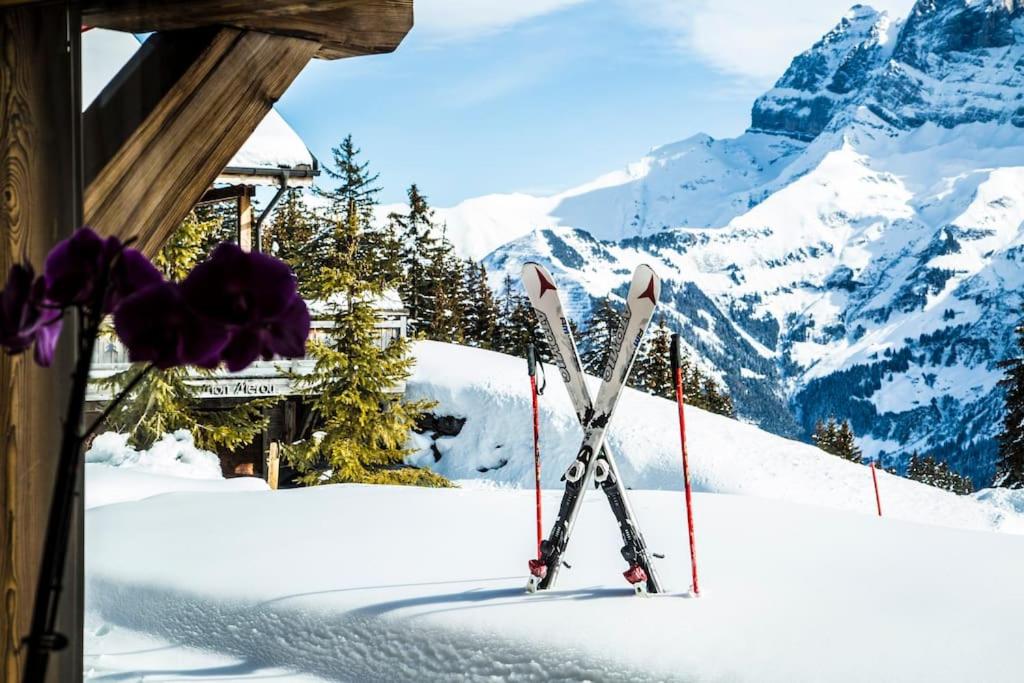 Big luxury Chalet with amazing view
