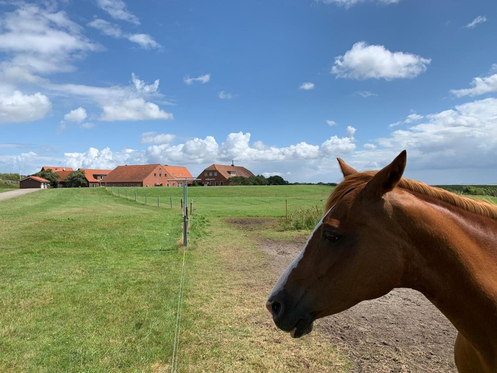 Haus Dulshorn Langeoog