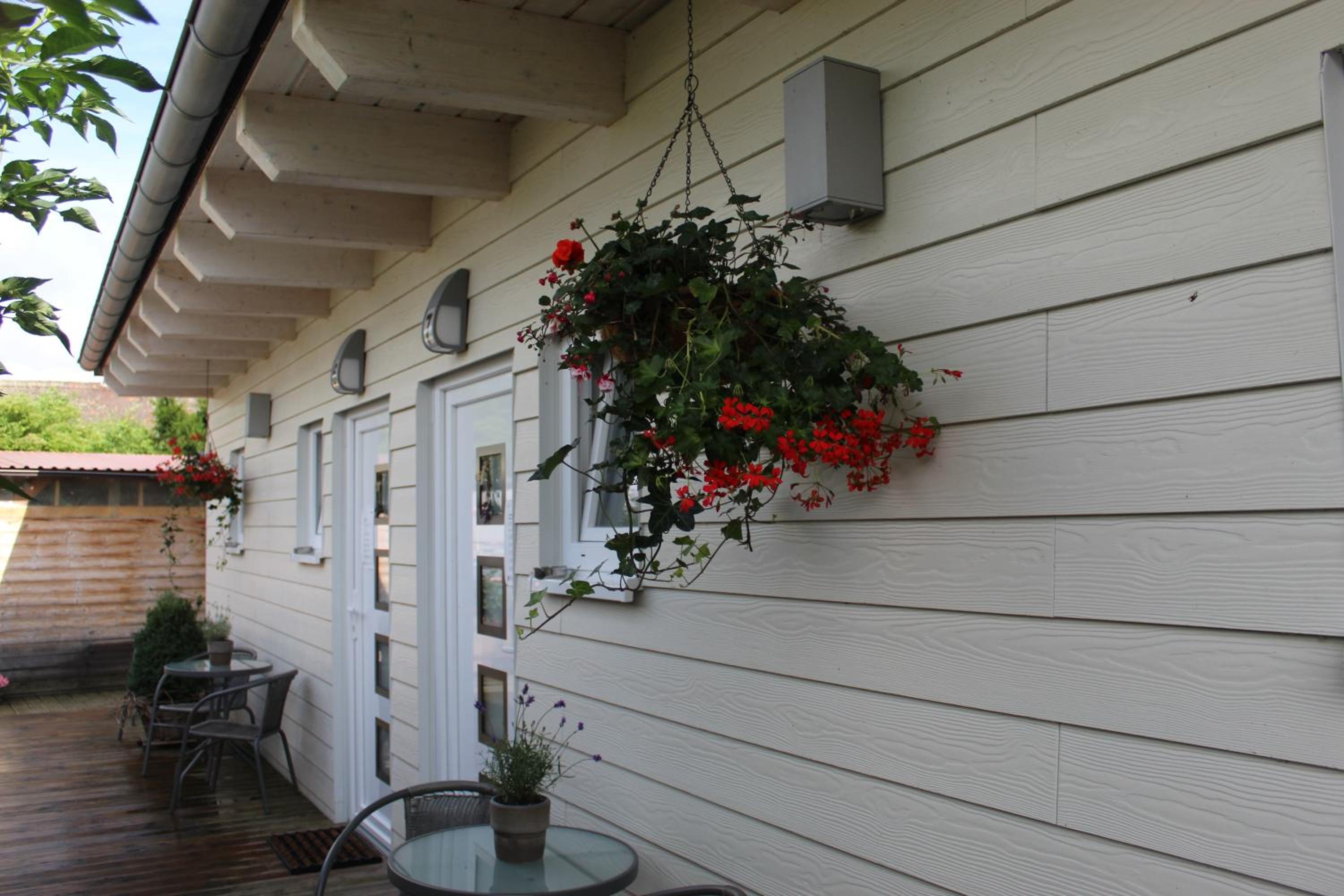 Photo 46